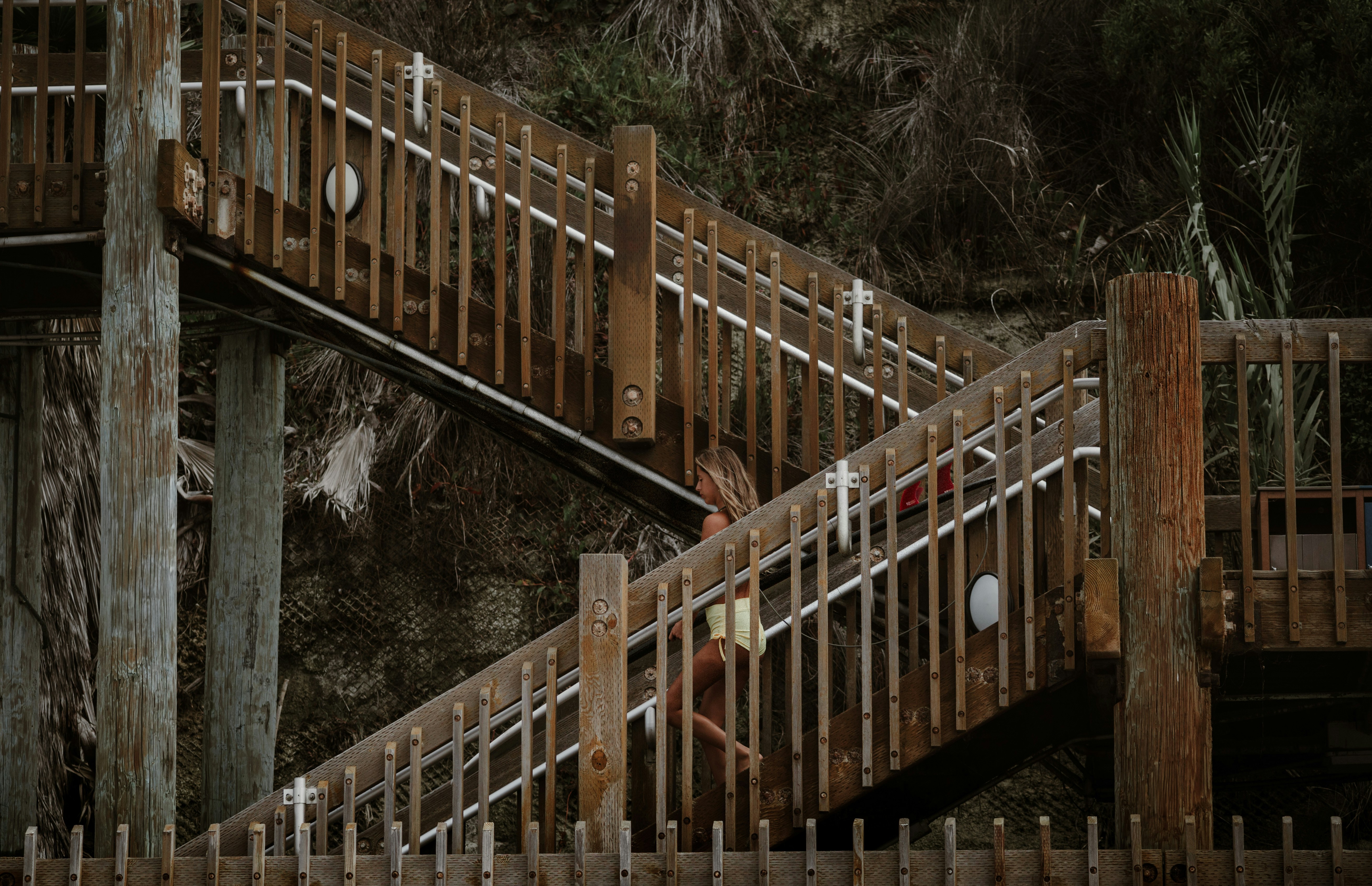 Wooden stairs ascend a tropical hillside with dense foliage.