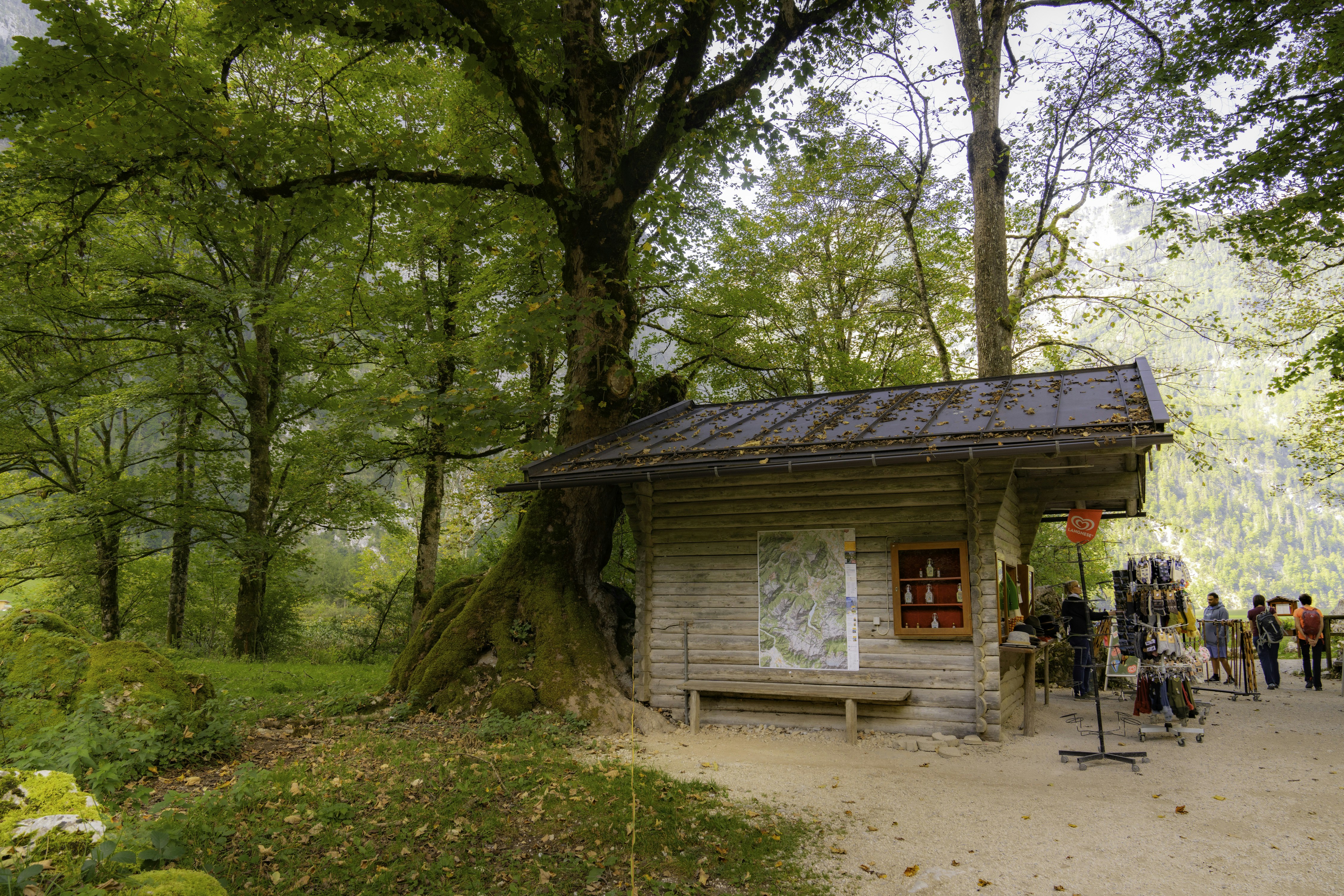 Photo by mikhail_mamaev