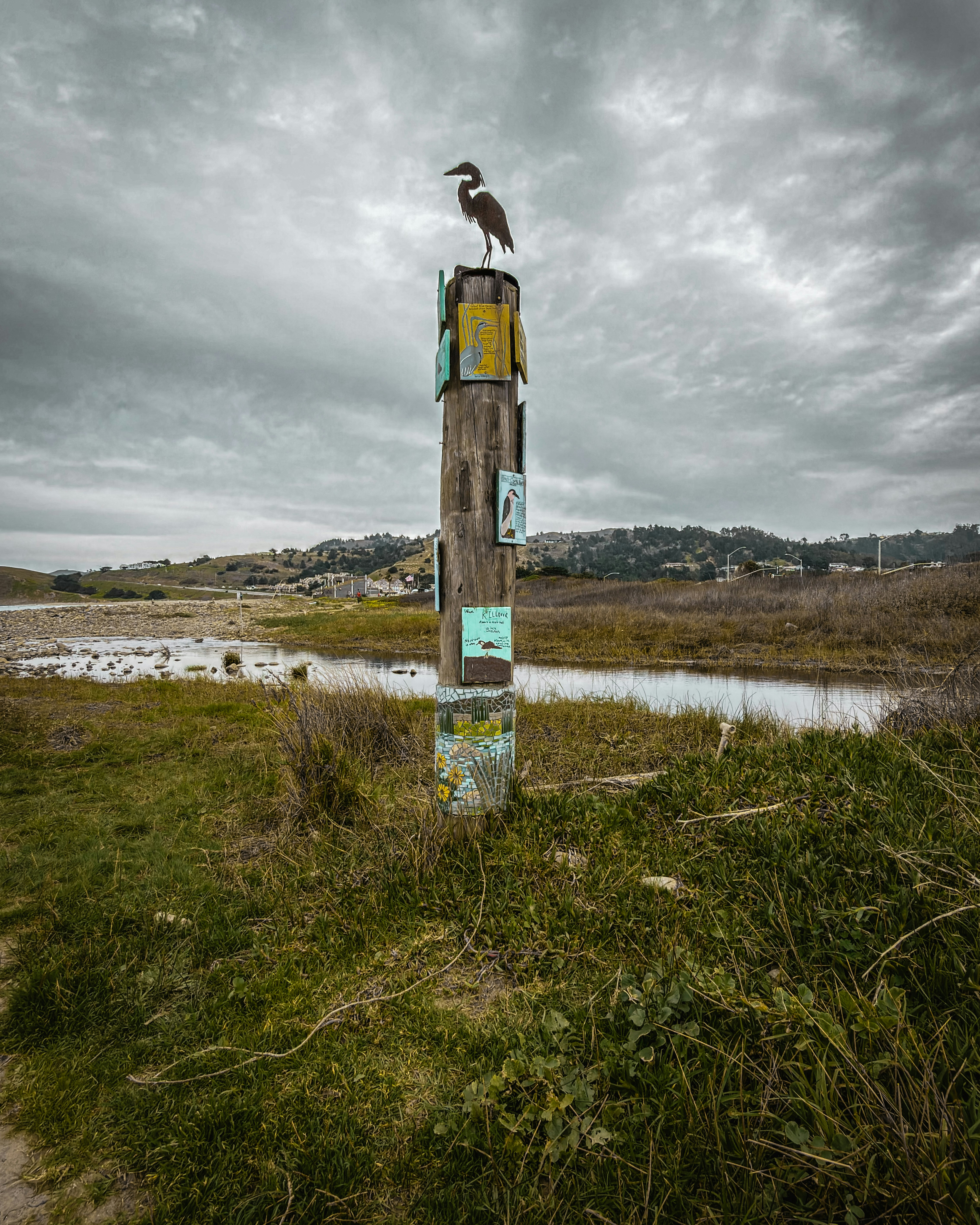 Uma garça está em pé sobre um poste de madeira perto da água.
