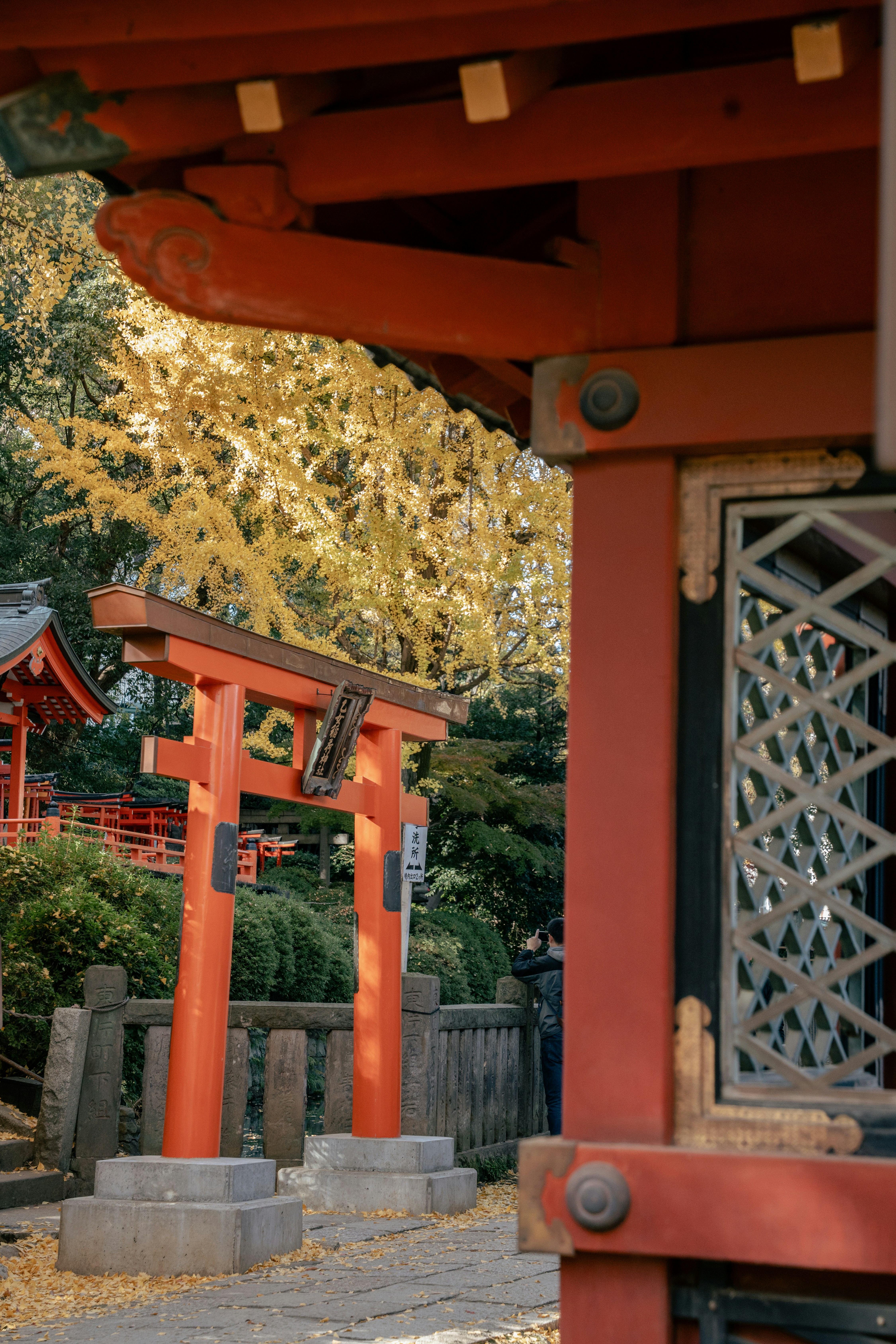 Photo by photo_trips