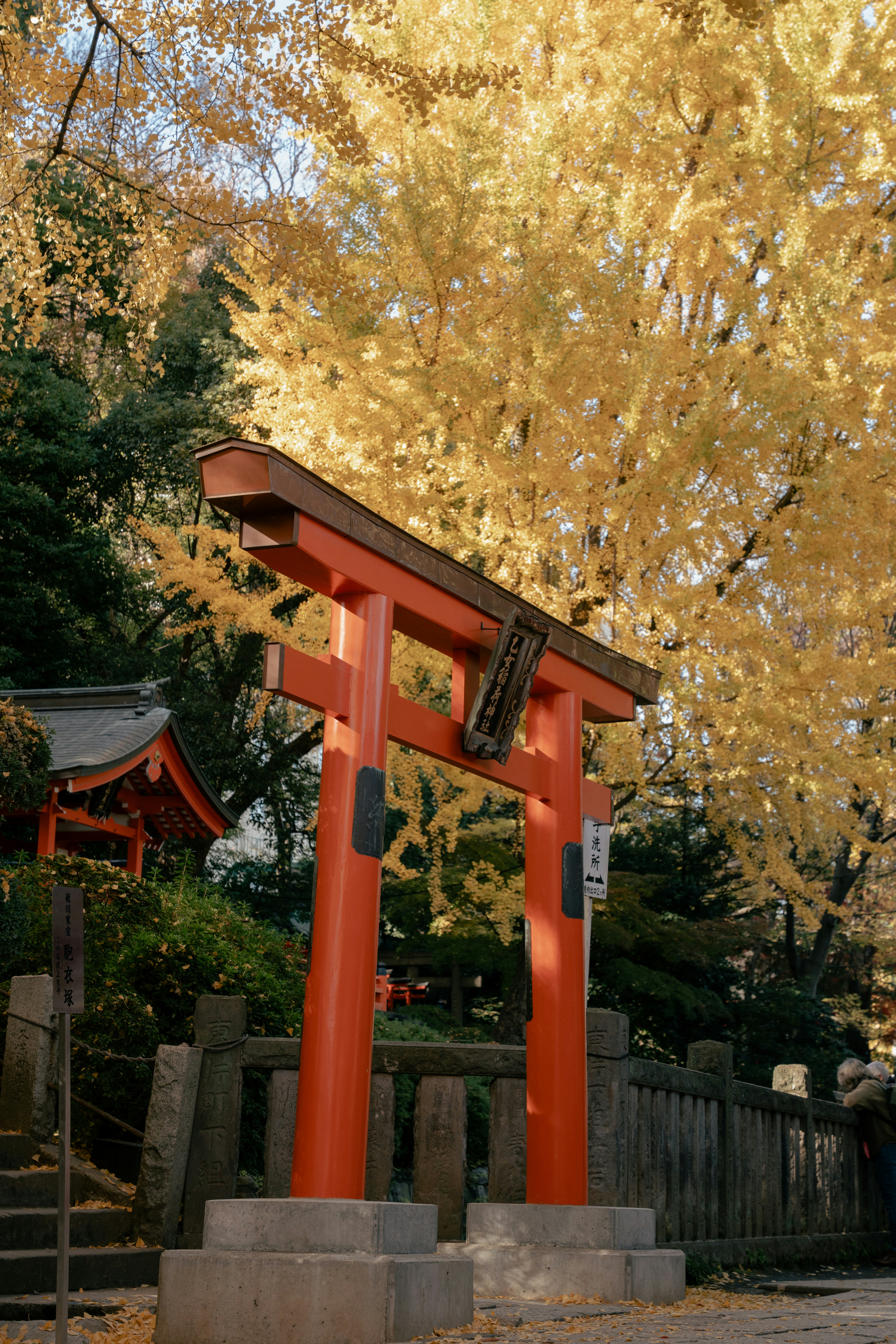 Photo by photo_trips