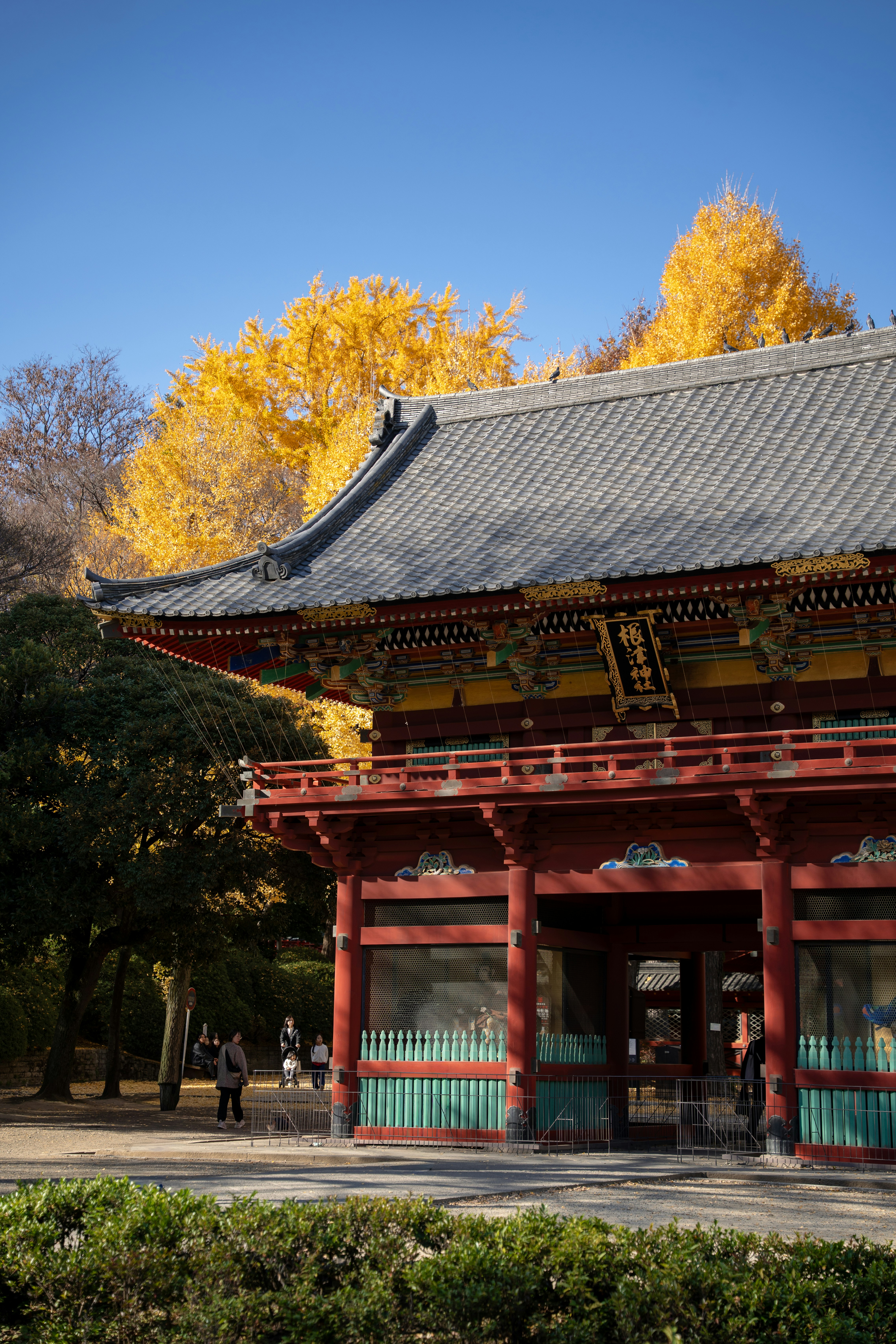 Photo by photo_trips