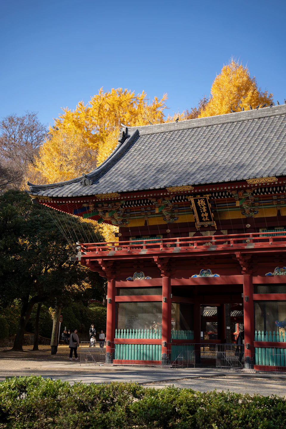 Tokyo in Autumn