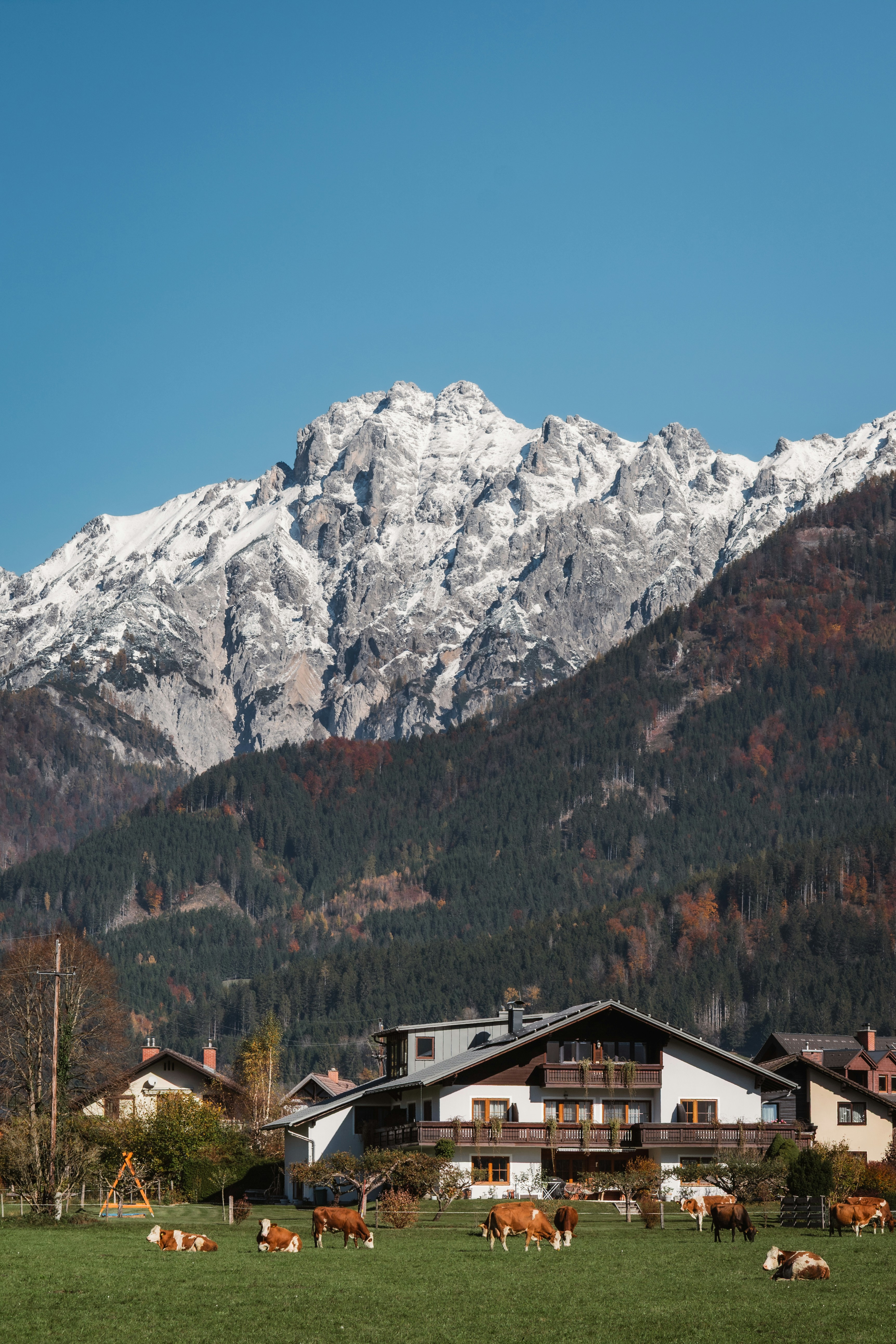 Photo by ahmetyuksek