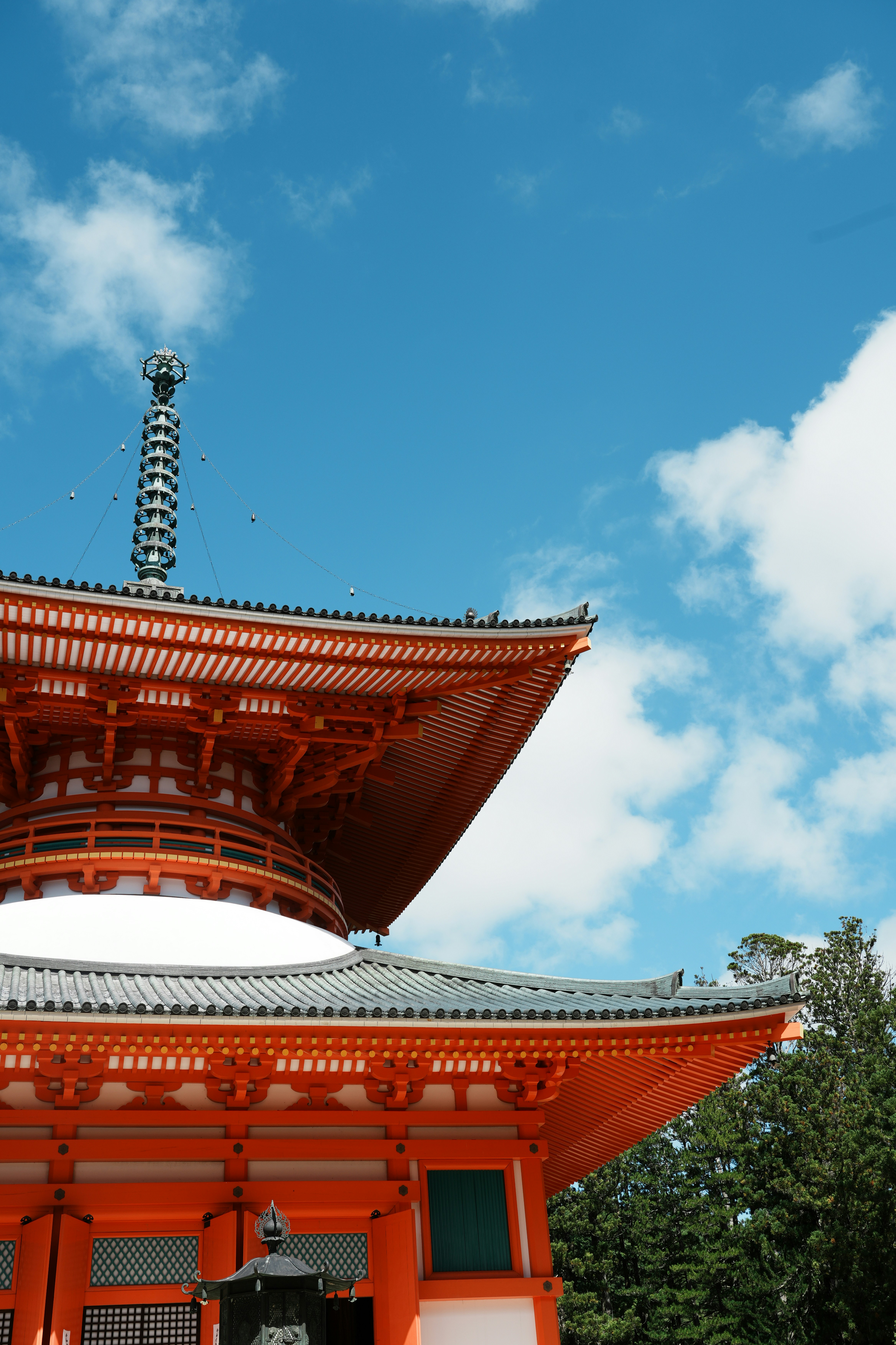 Photo by hakunamatata2025