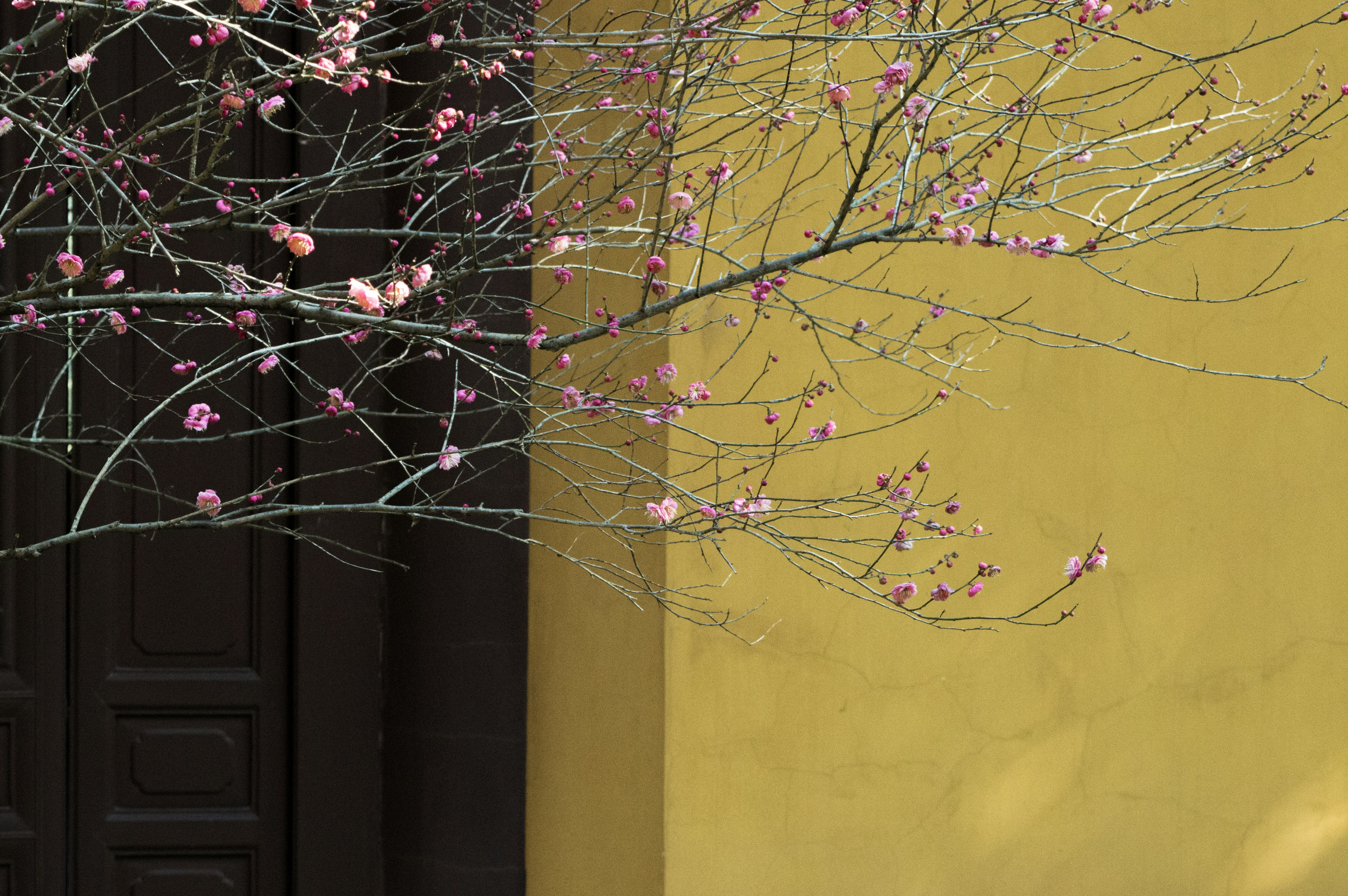 Photo by xiakuangkuang