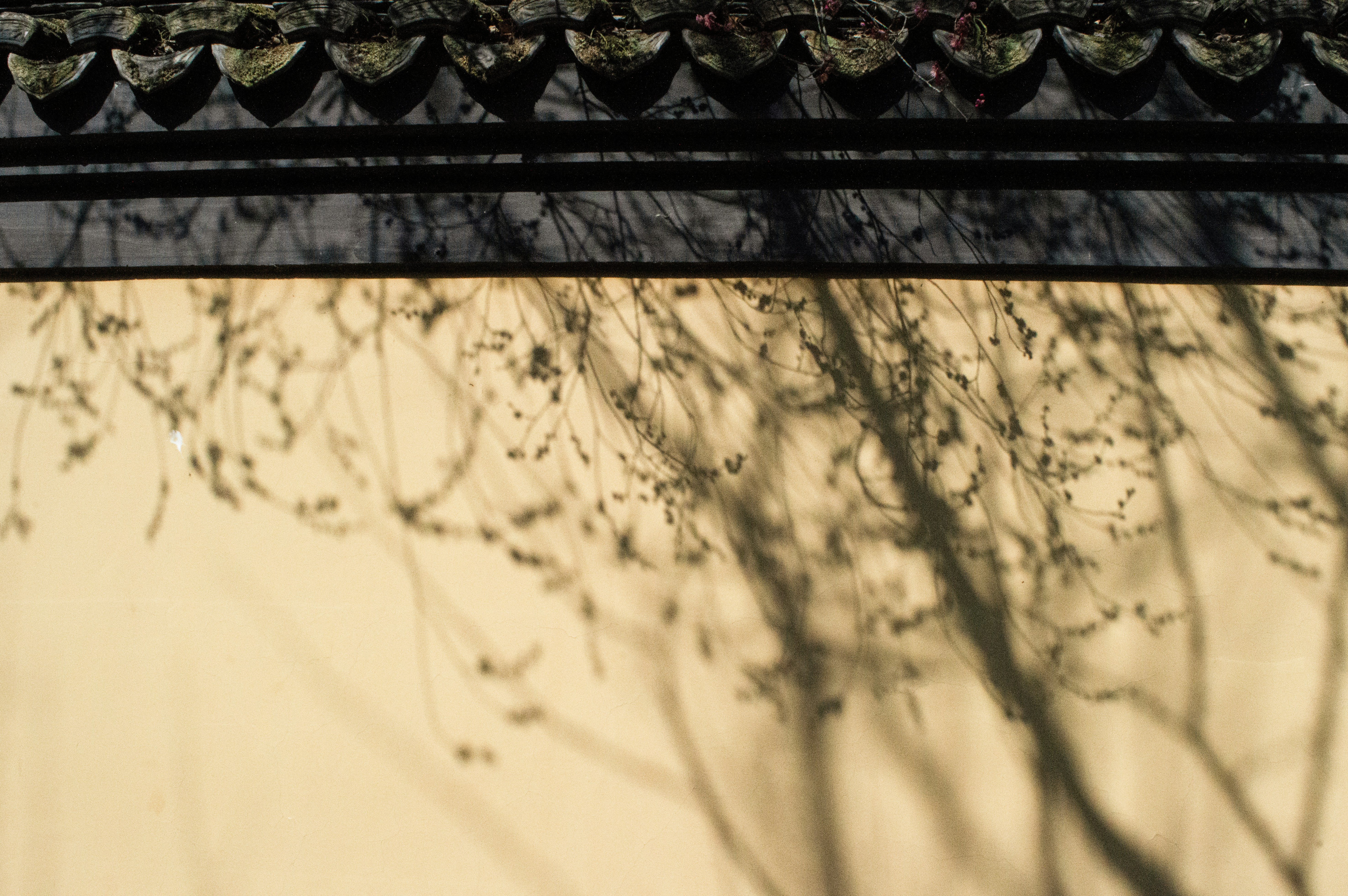 Photo by xiakuangkuang