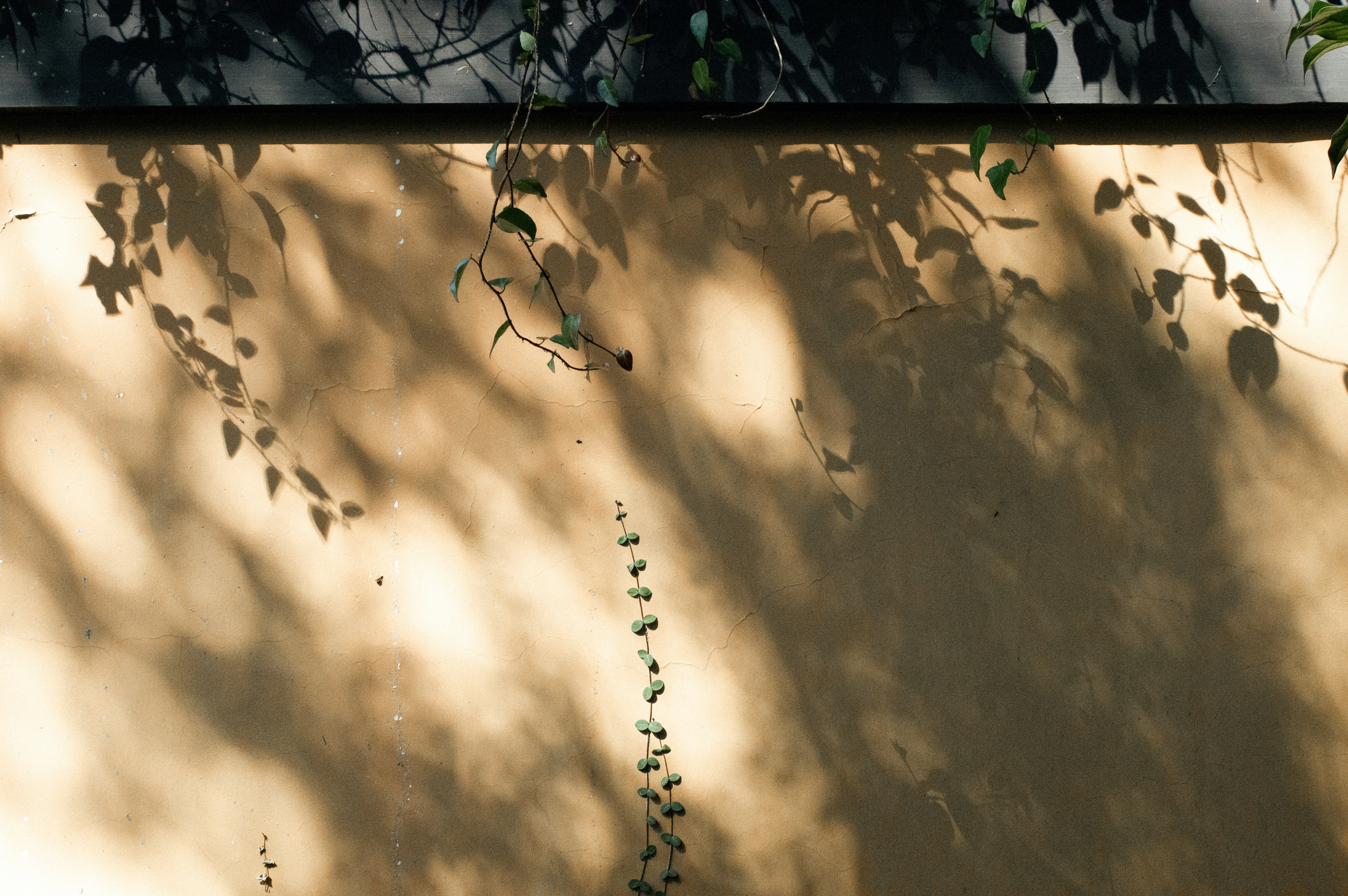 Photo by xiakuangkuang