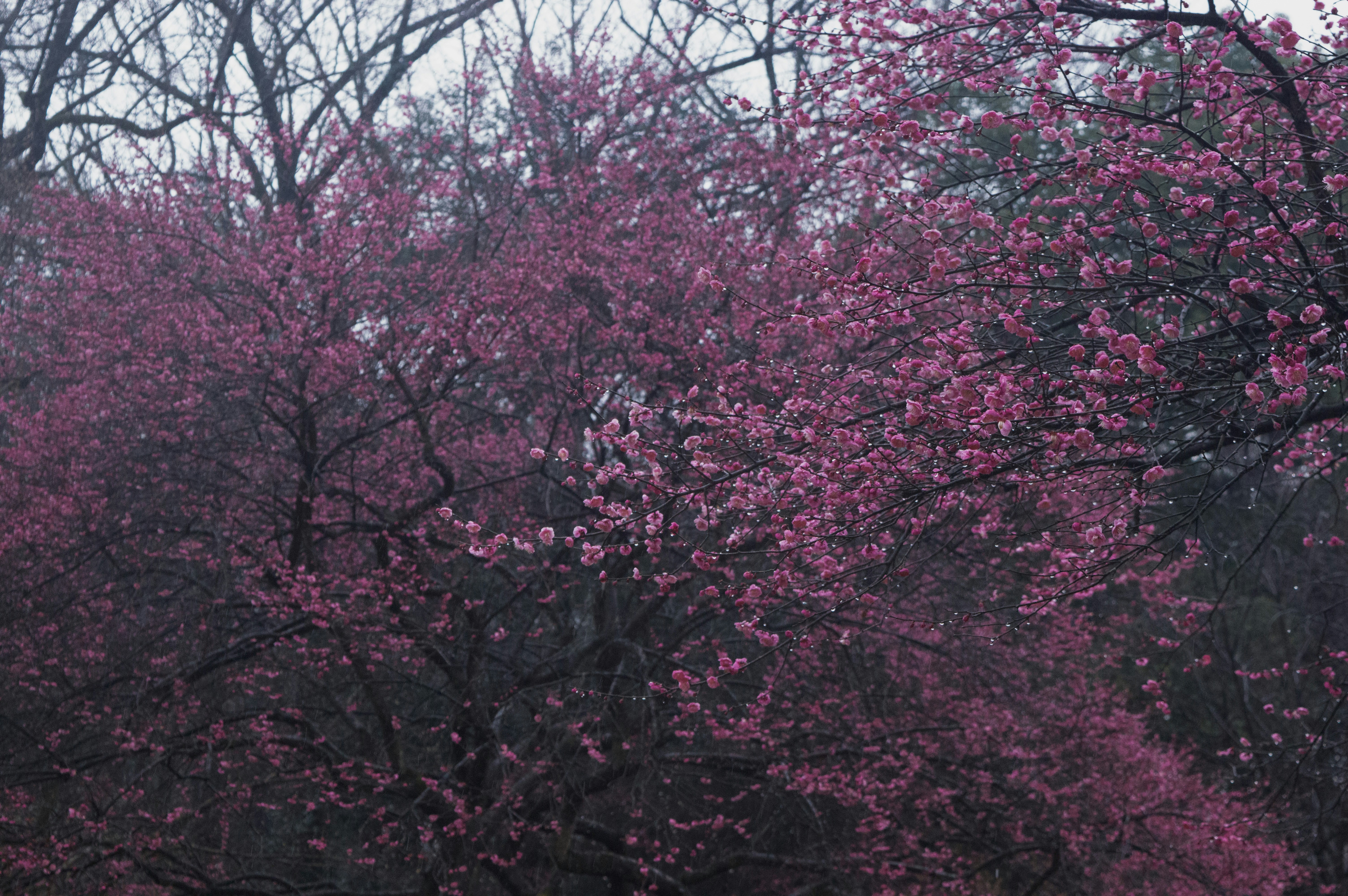 Photo by xiakuangkuang