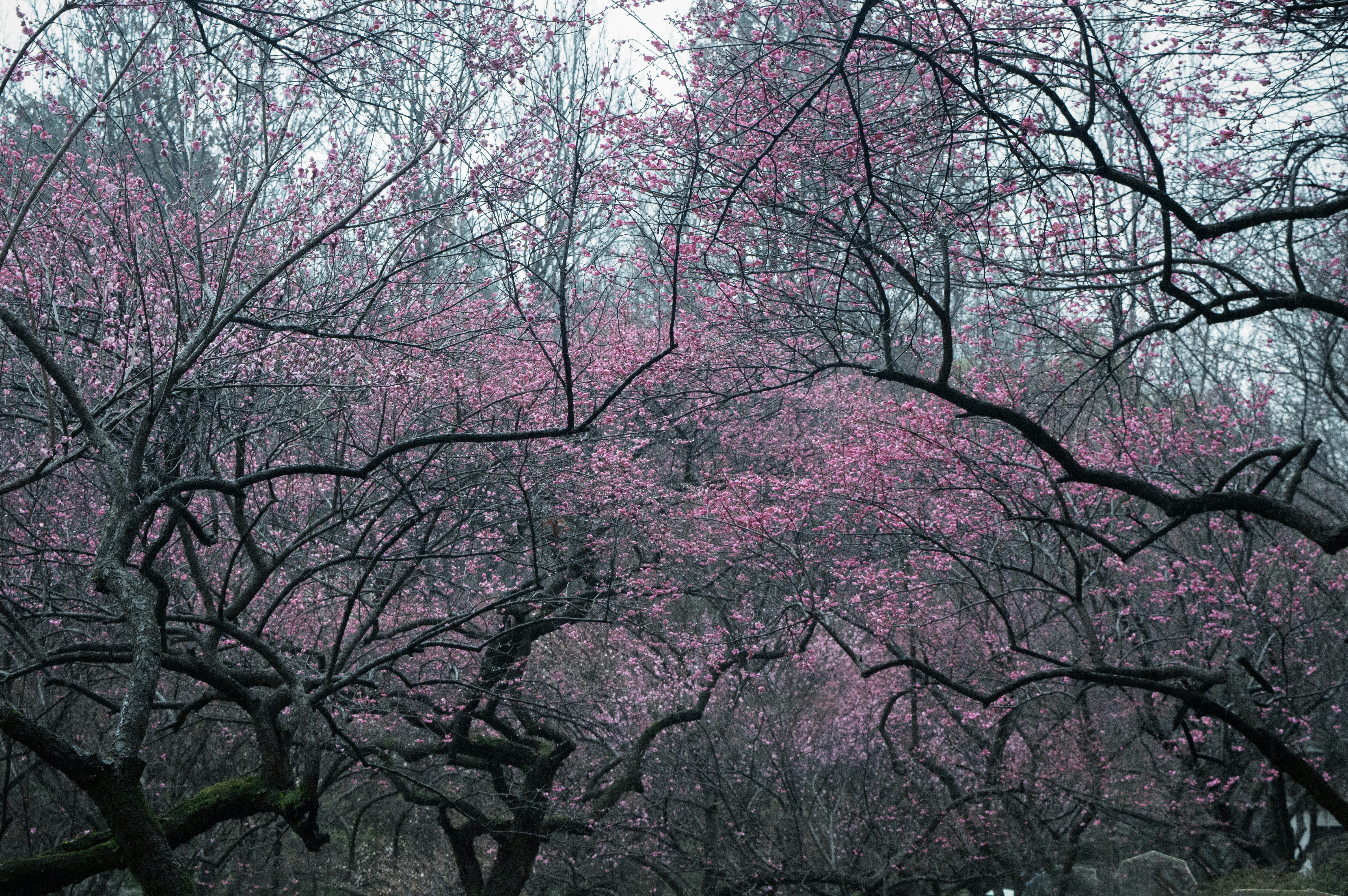 Photo by xiakuangkuang