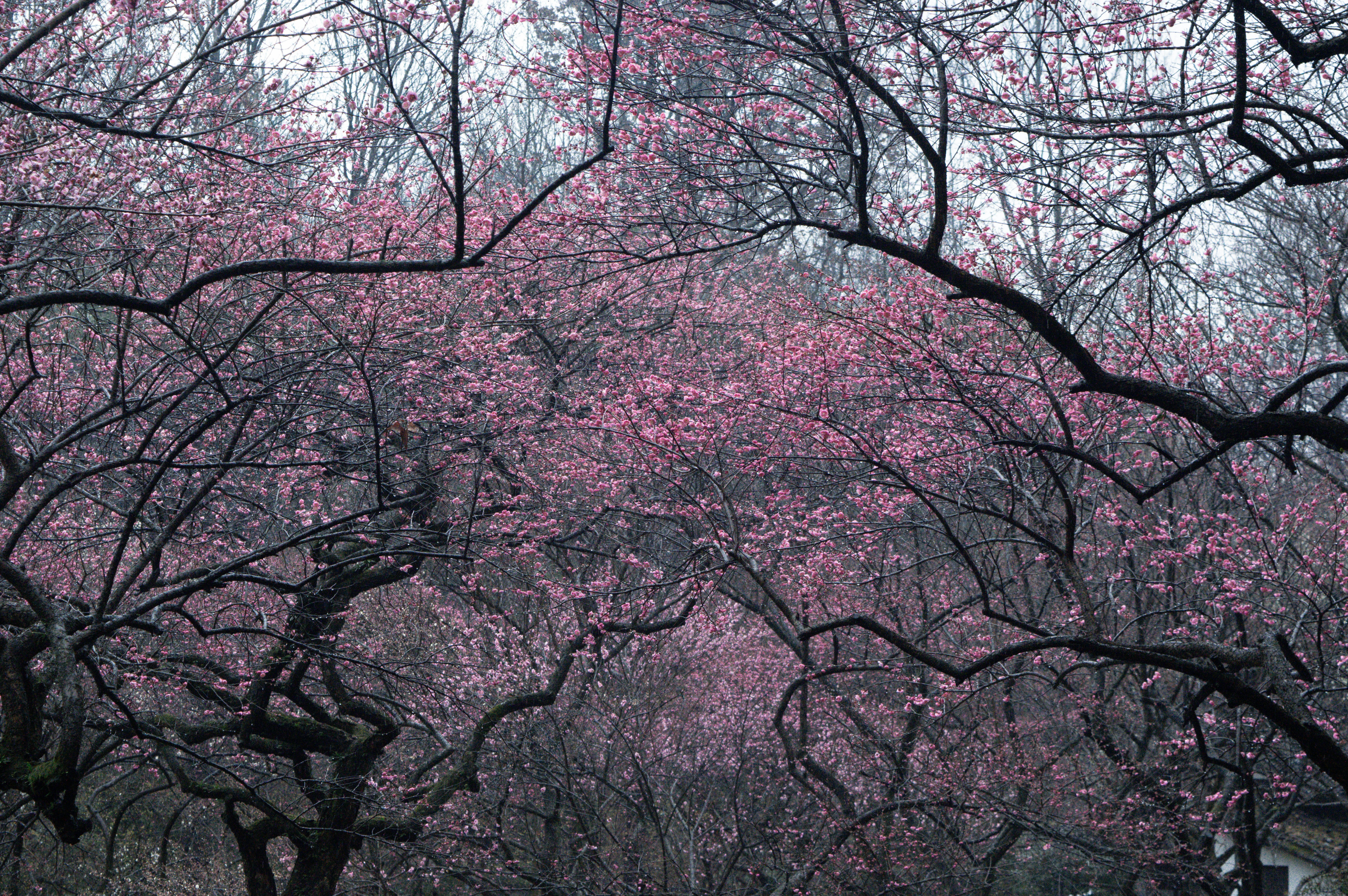 Photo by xiakuangkuang