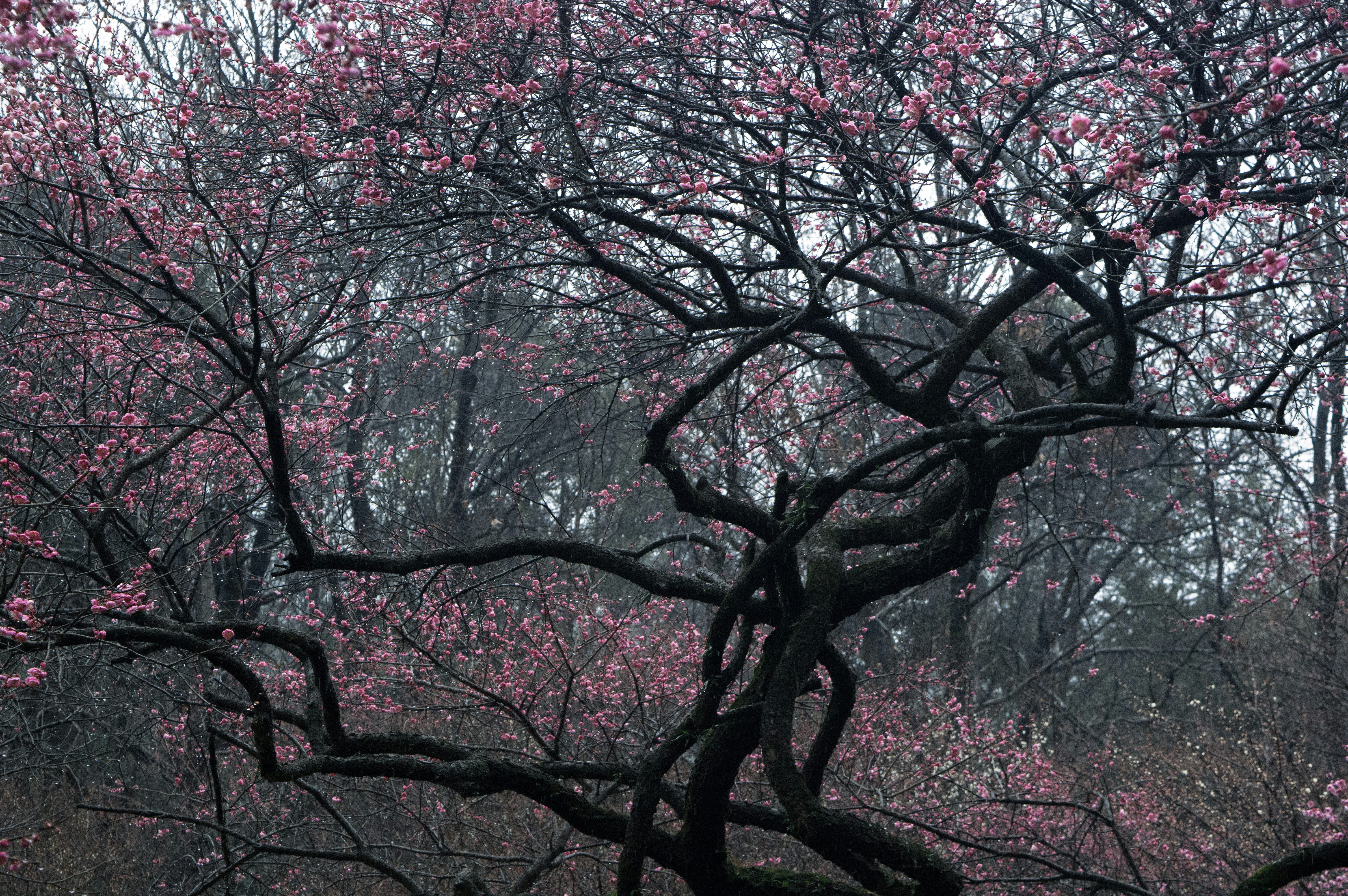 Photo by xiakuangkuang