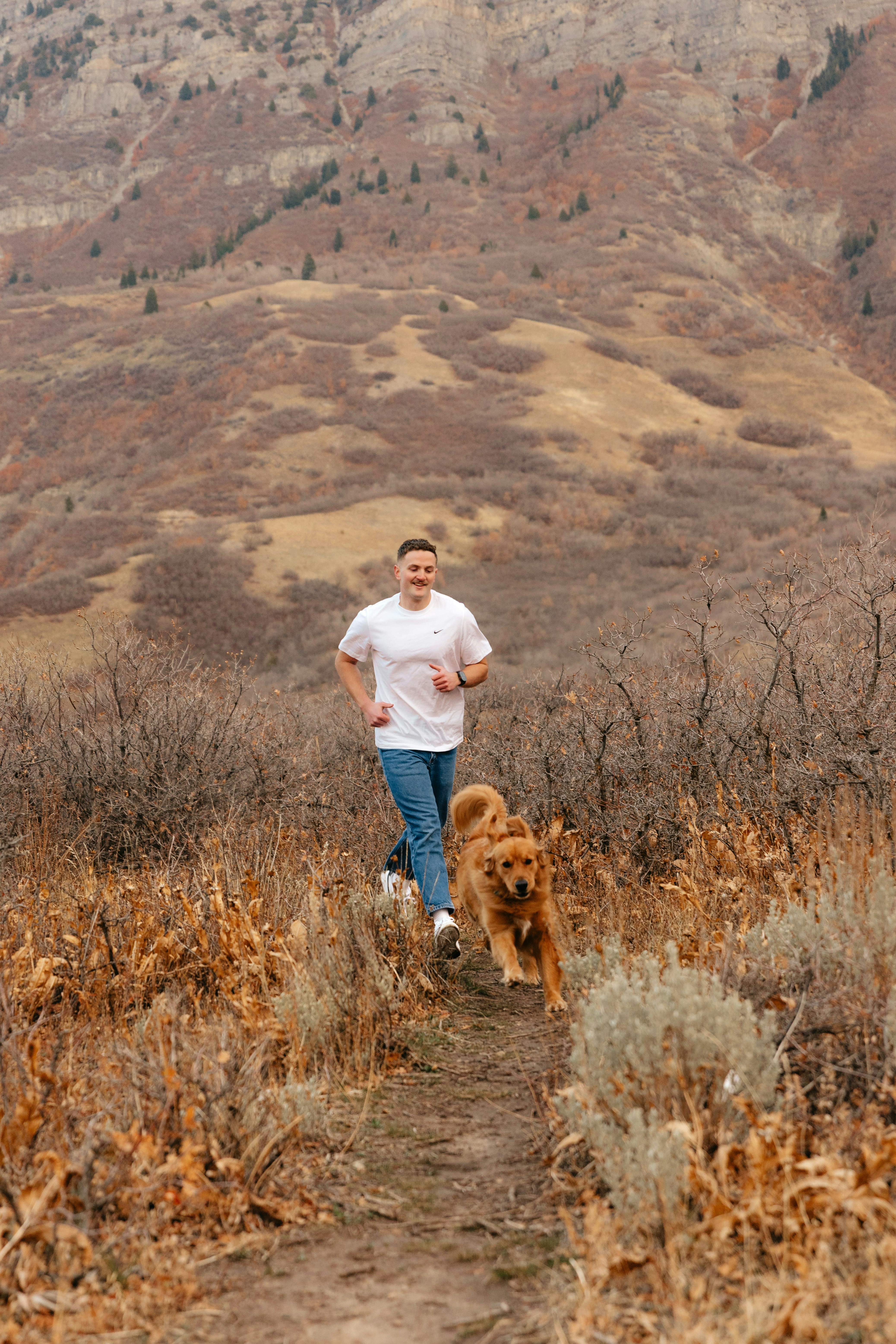 Best Raw Dog Food Brands for Active Dogs