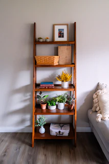 Wooden ladder shelf filled with plants and decor.