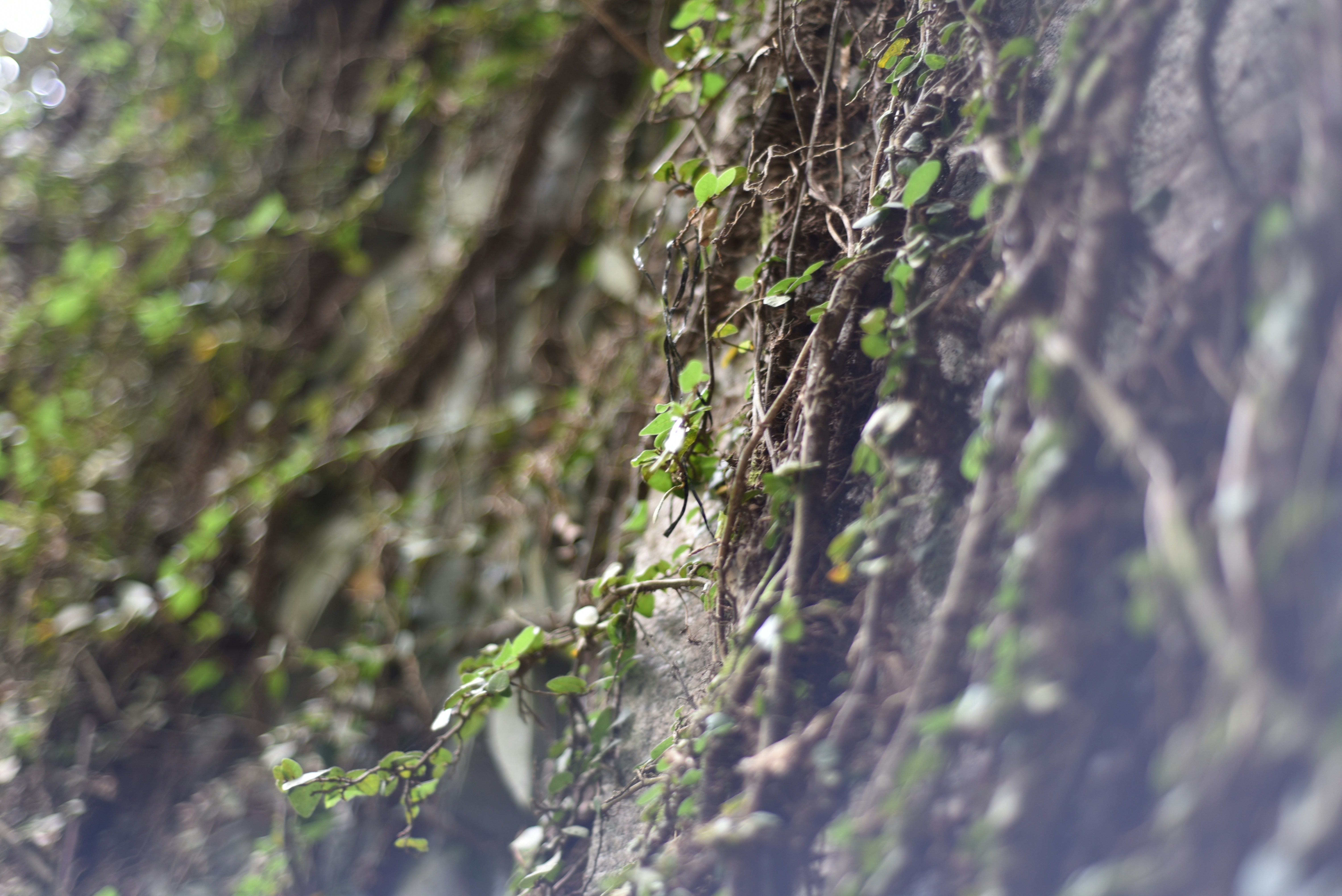 Photo by littlegabriel