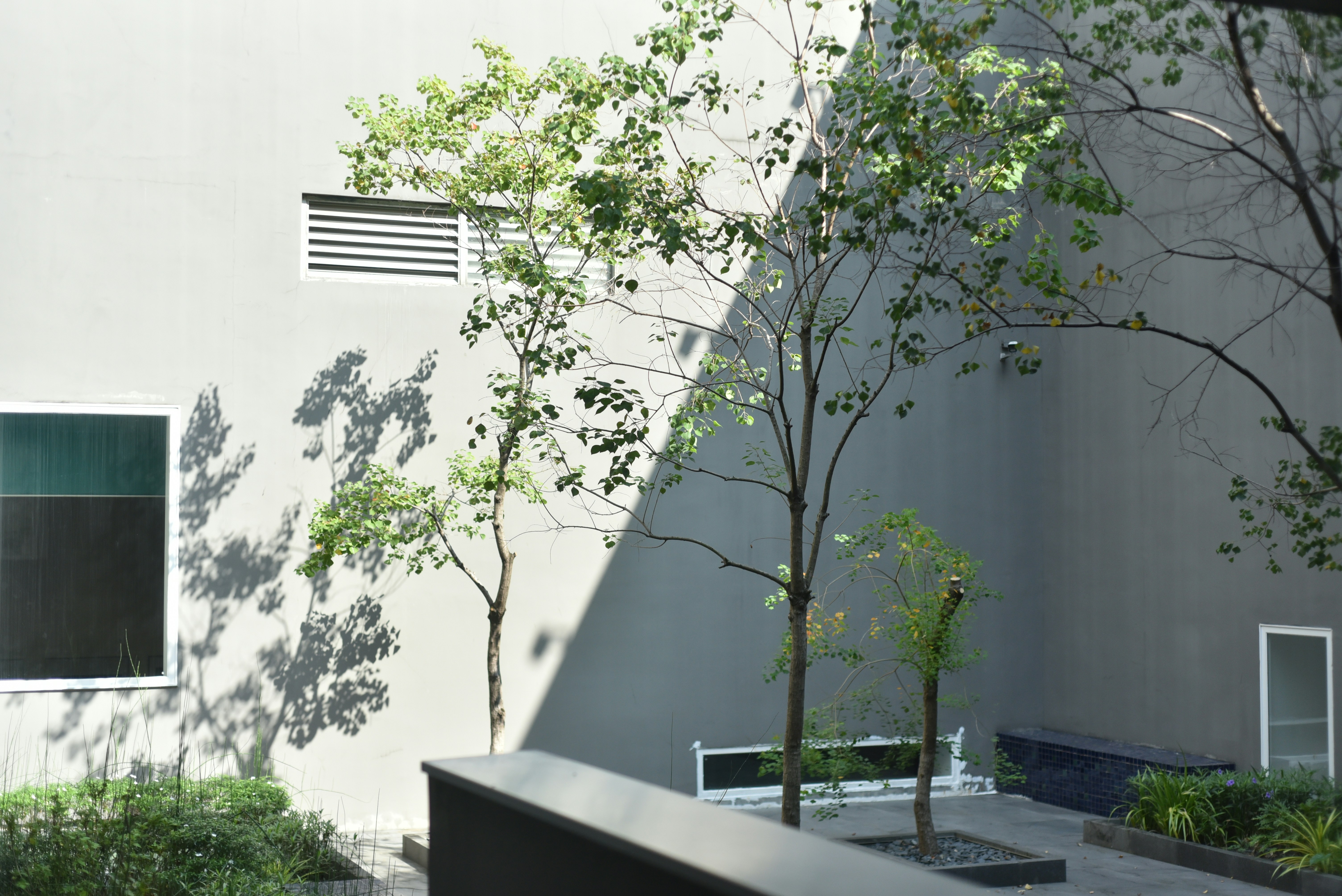 Photo by littlegabriel