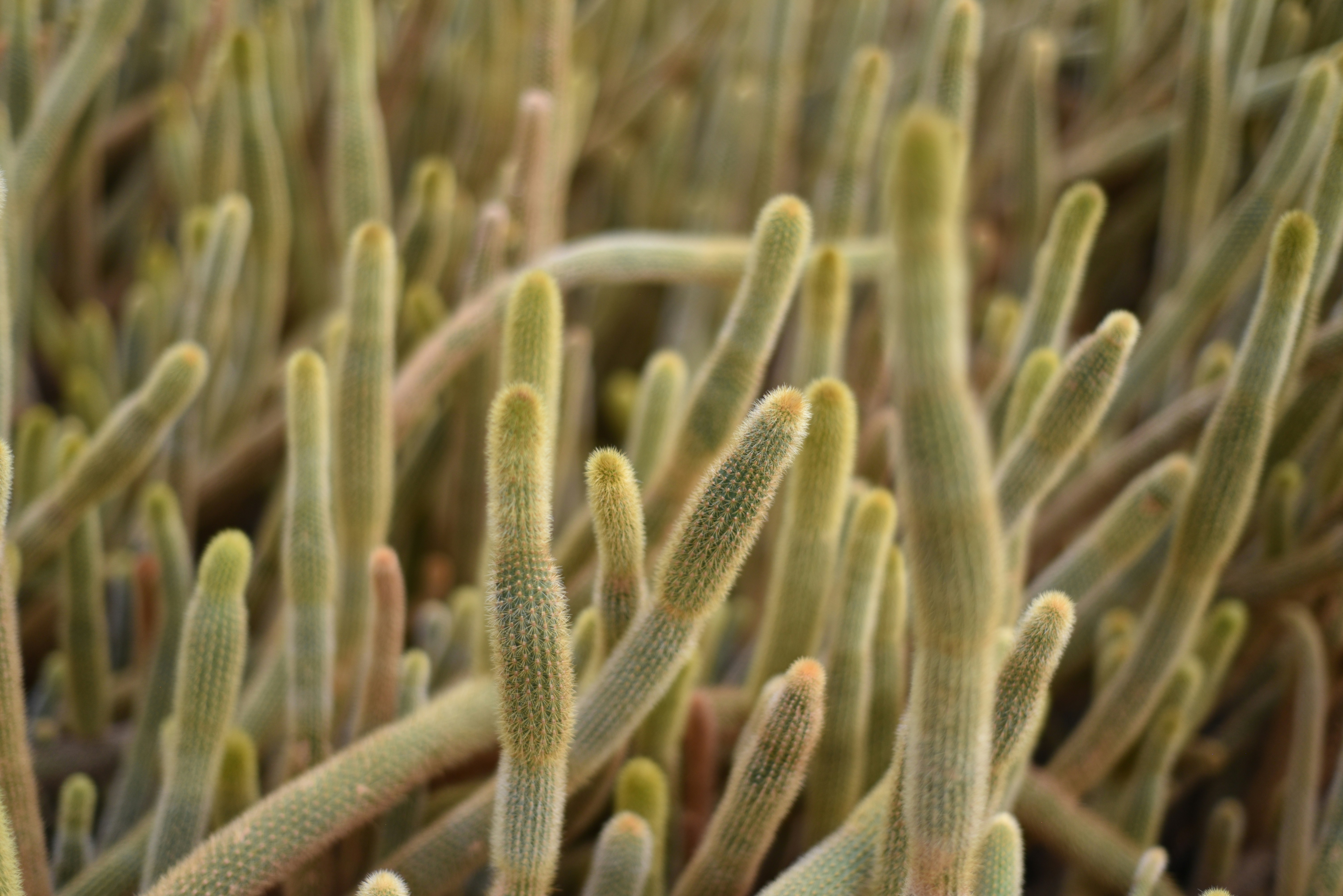 Photo by littlegabriel