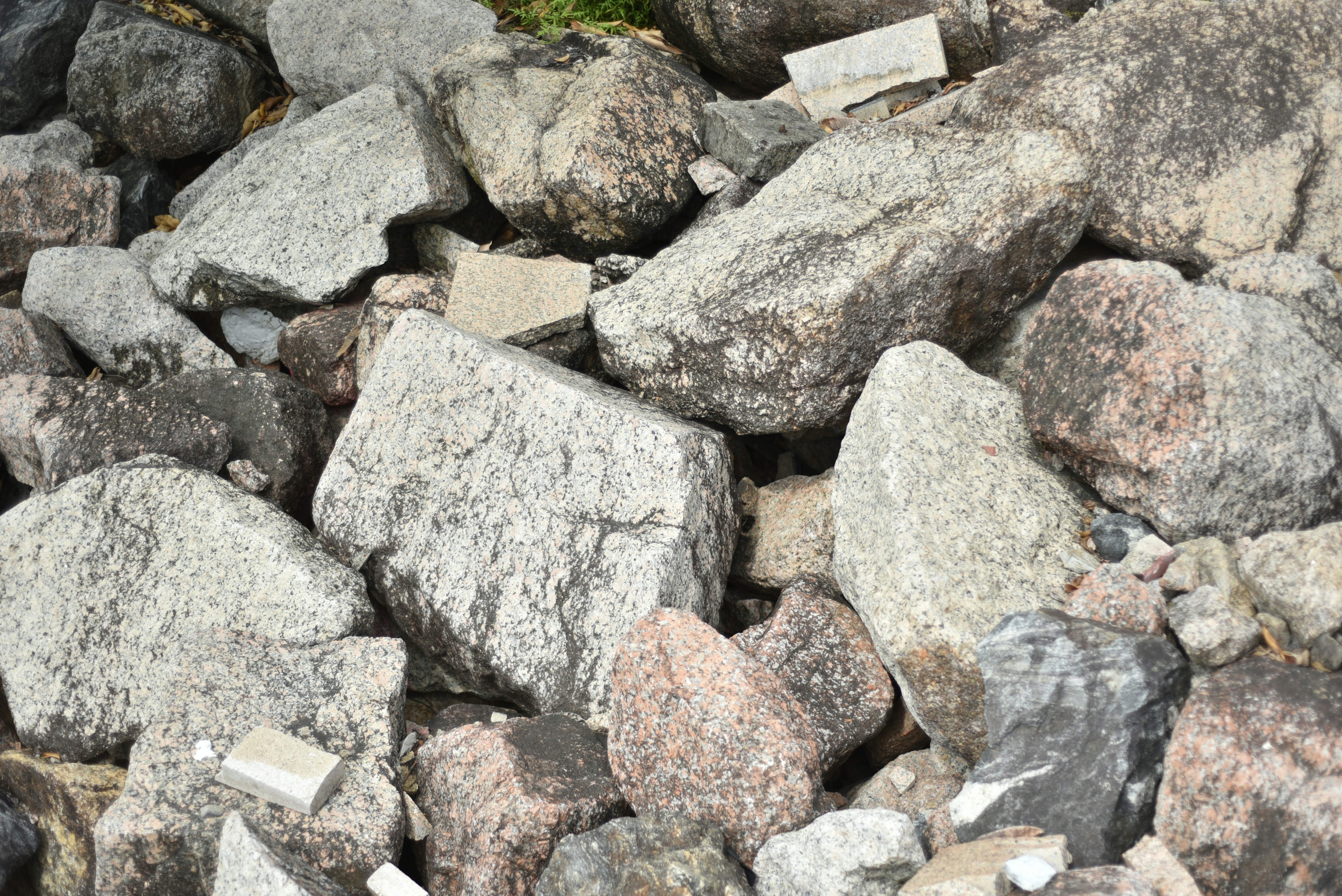 Photo by littlegabriel