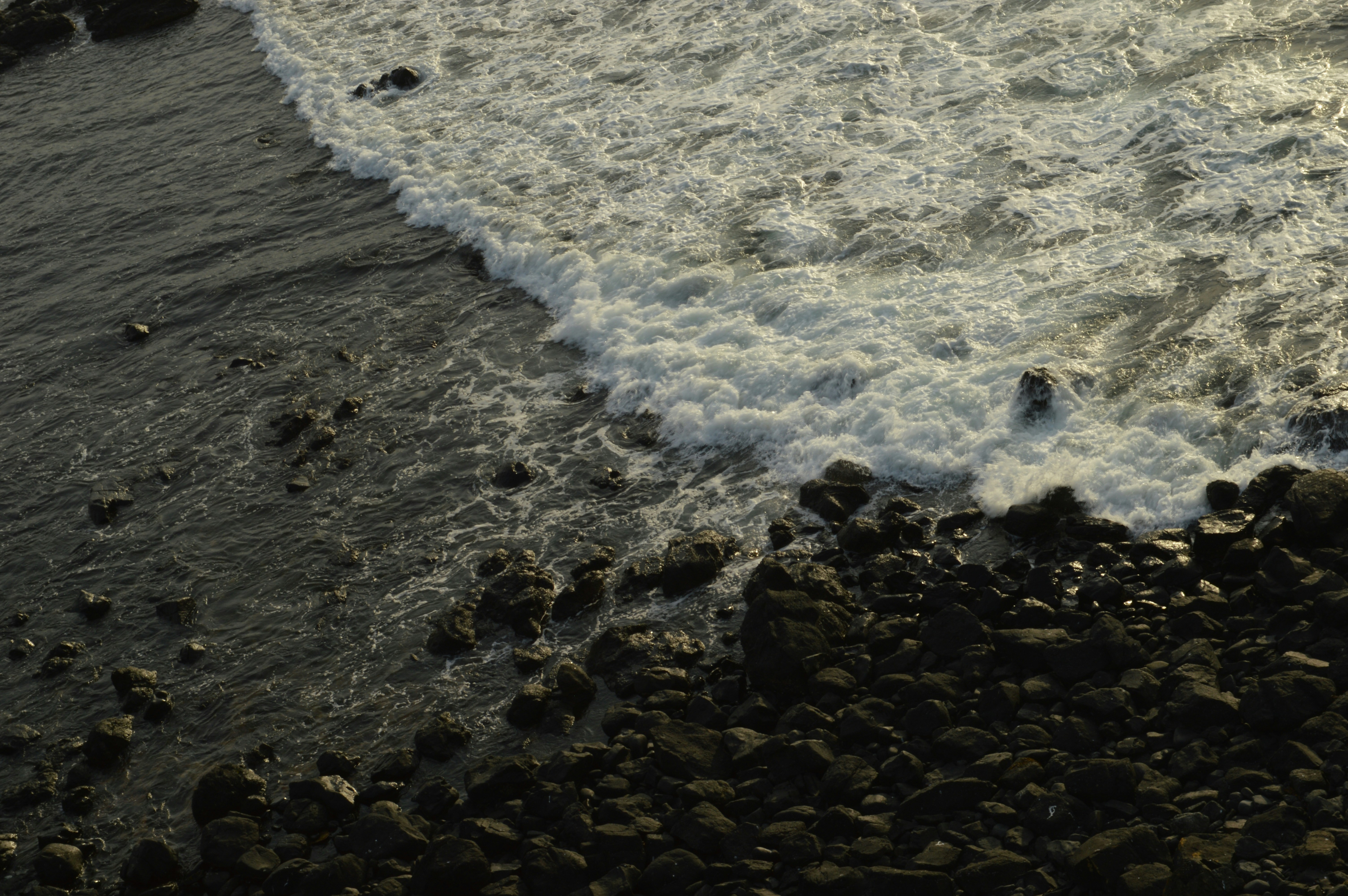 Photo by vectora_studio