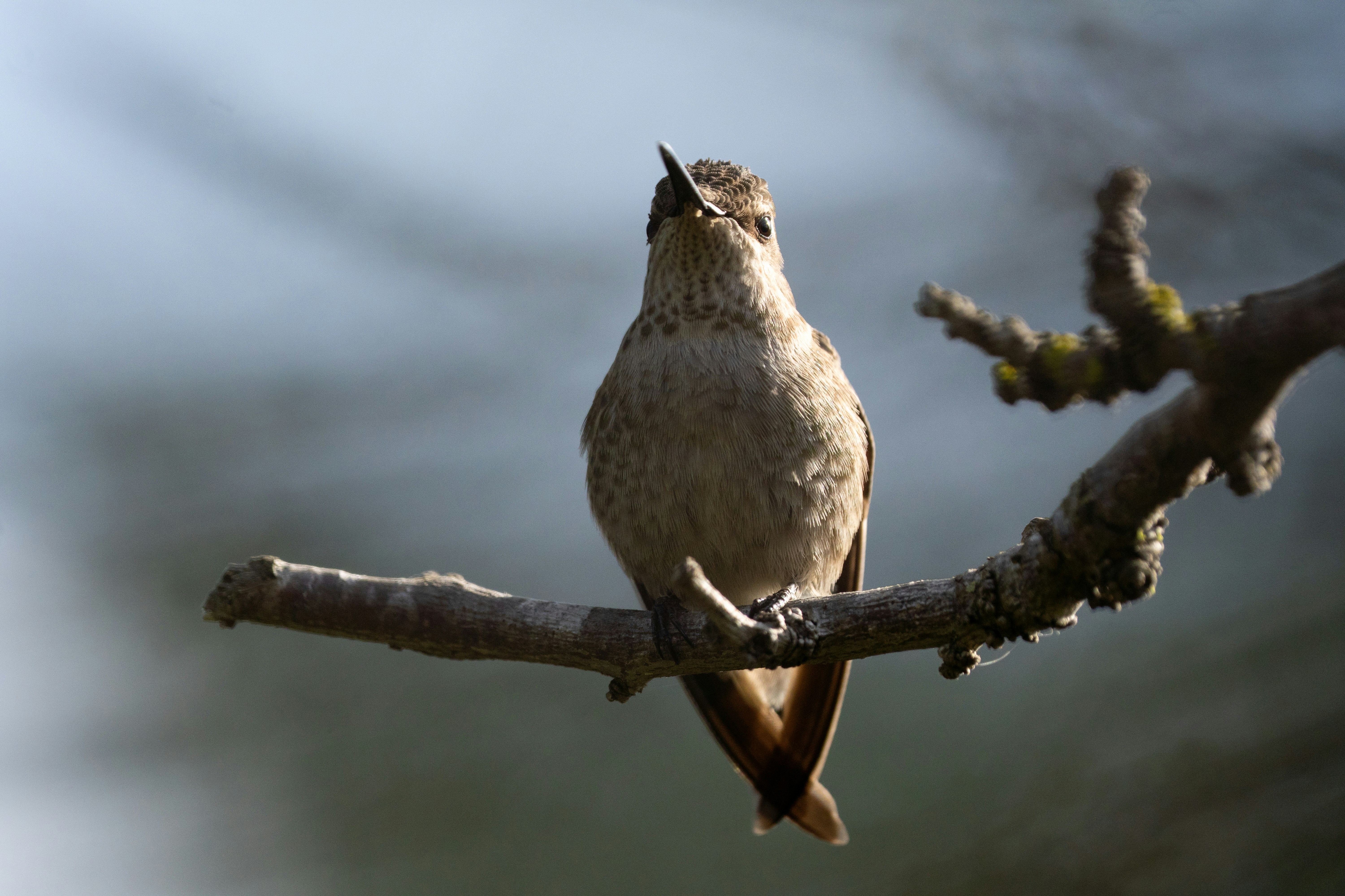 Photo by zacharia_17