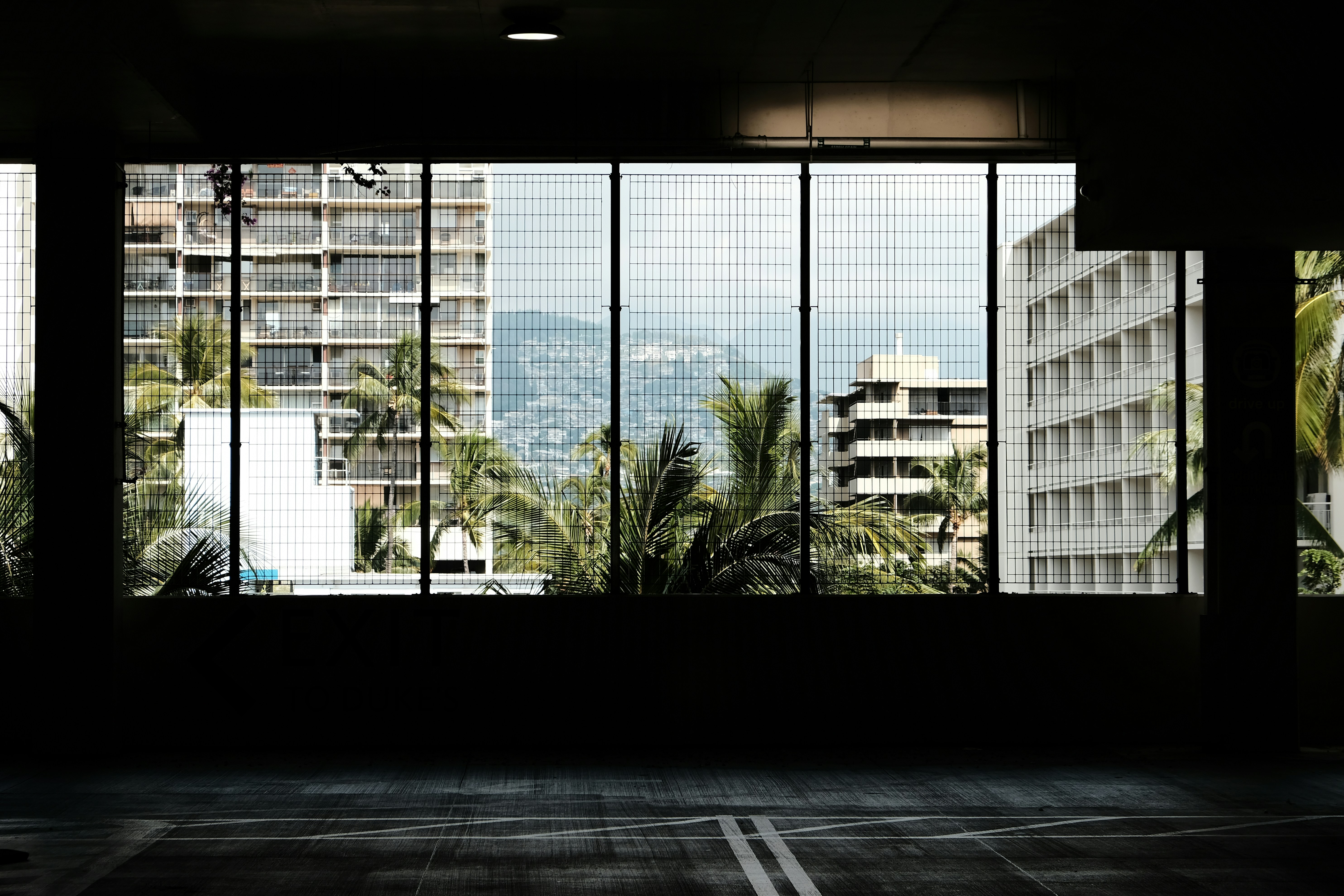 Blick auf Gebäude und Palmen durch ein Fenster