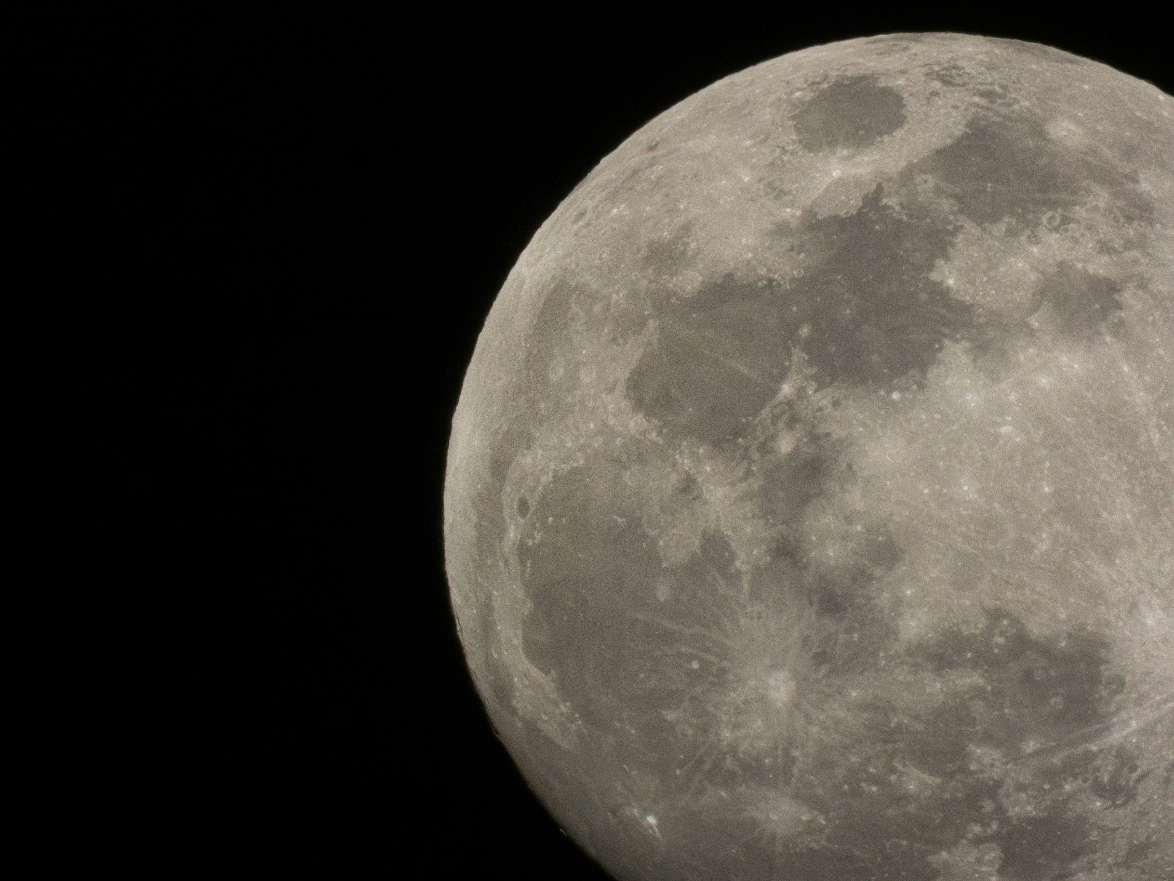 Photo by raymondpetrik