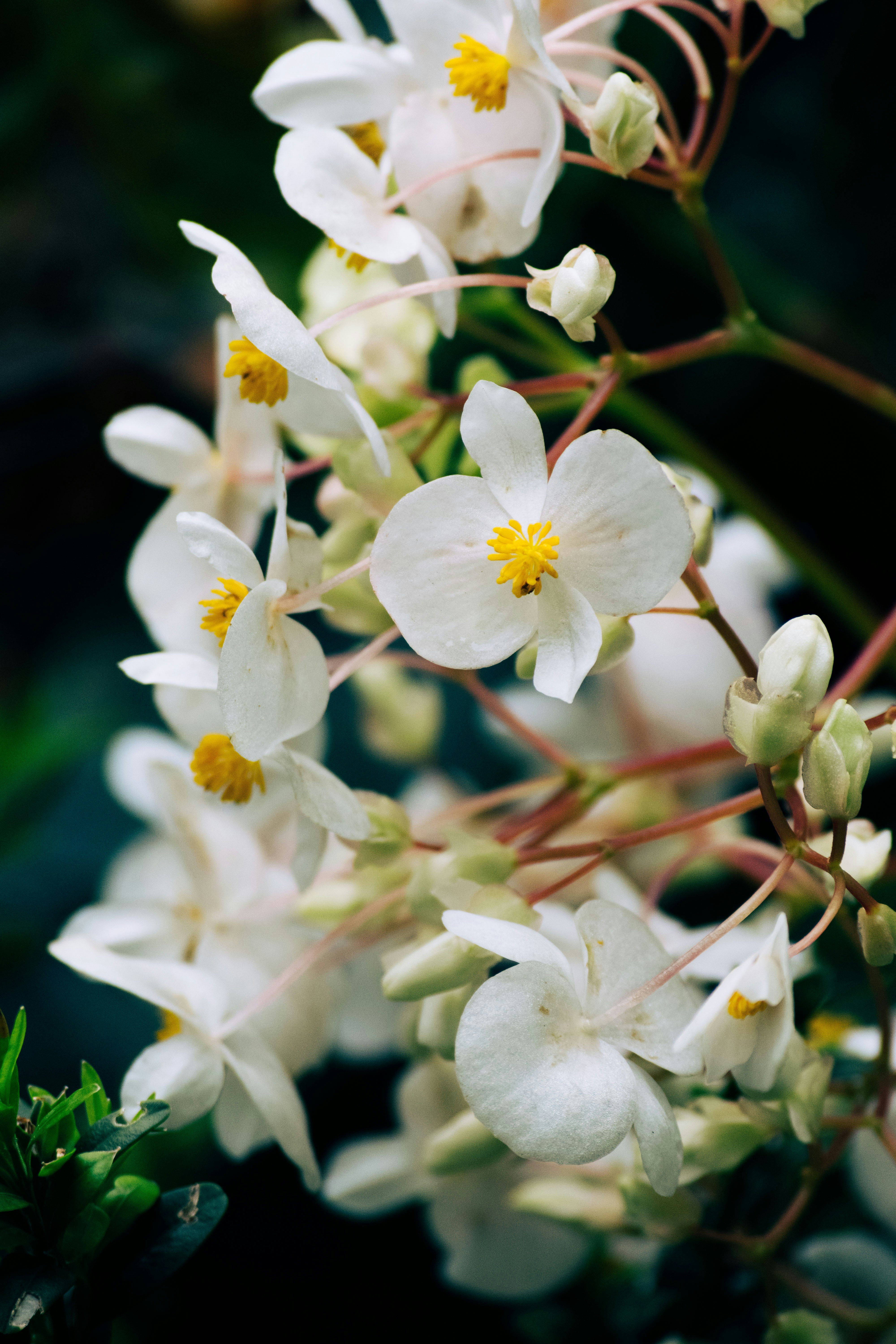 Photo by balazsgabor17