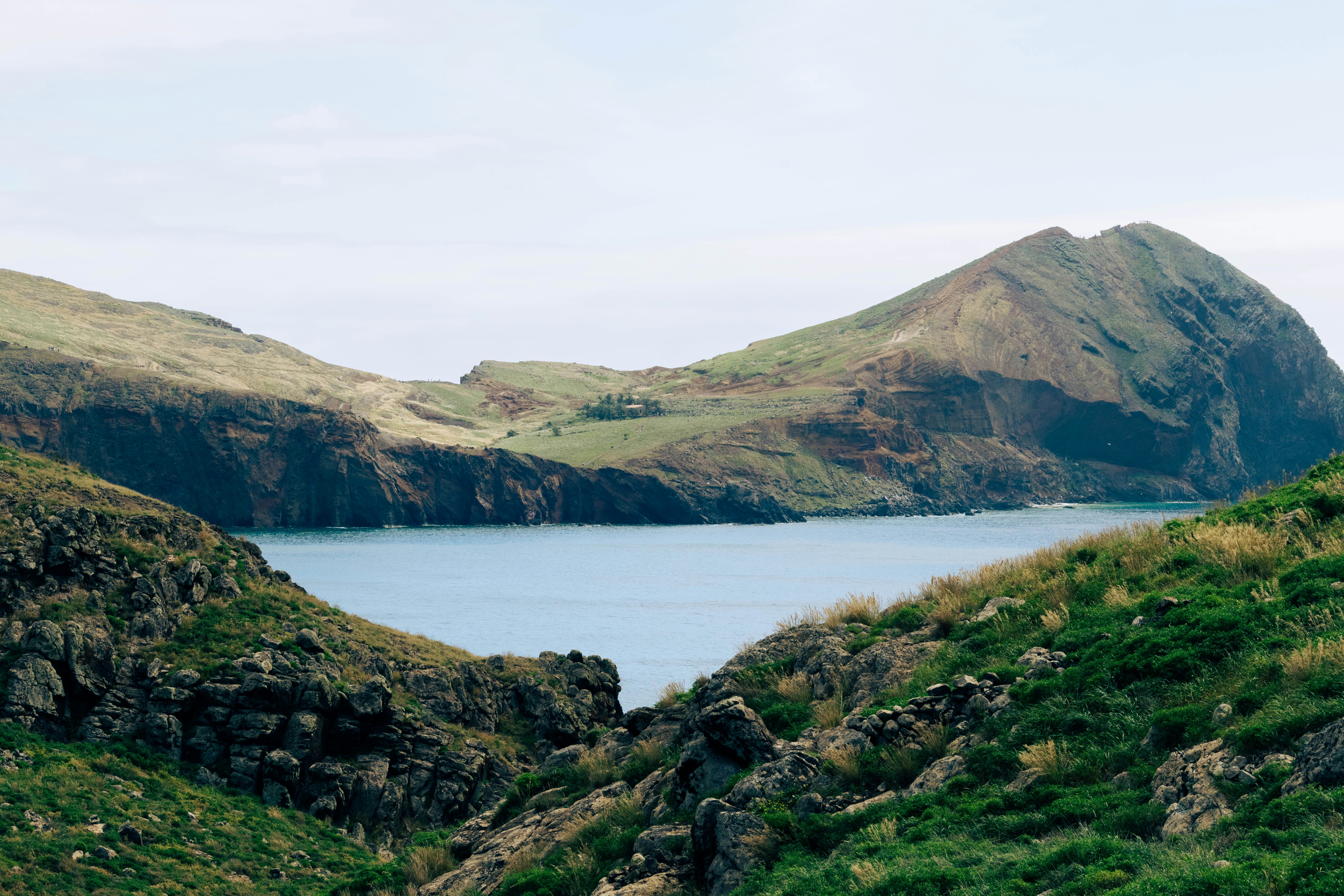 Photo by balazsgabor17