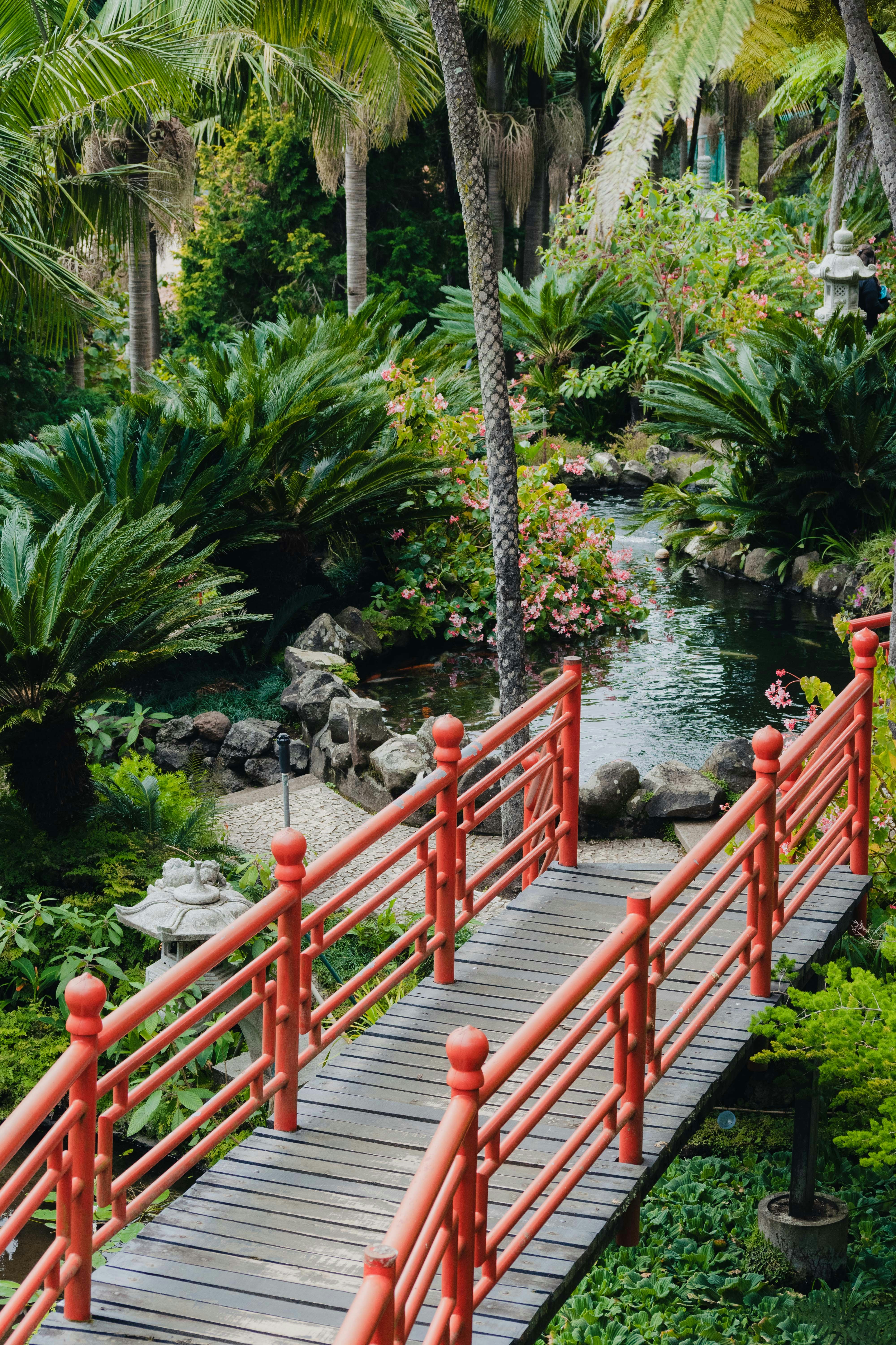 Photo by balazsgabor17