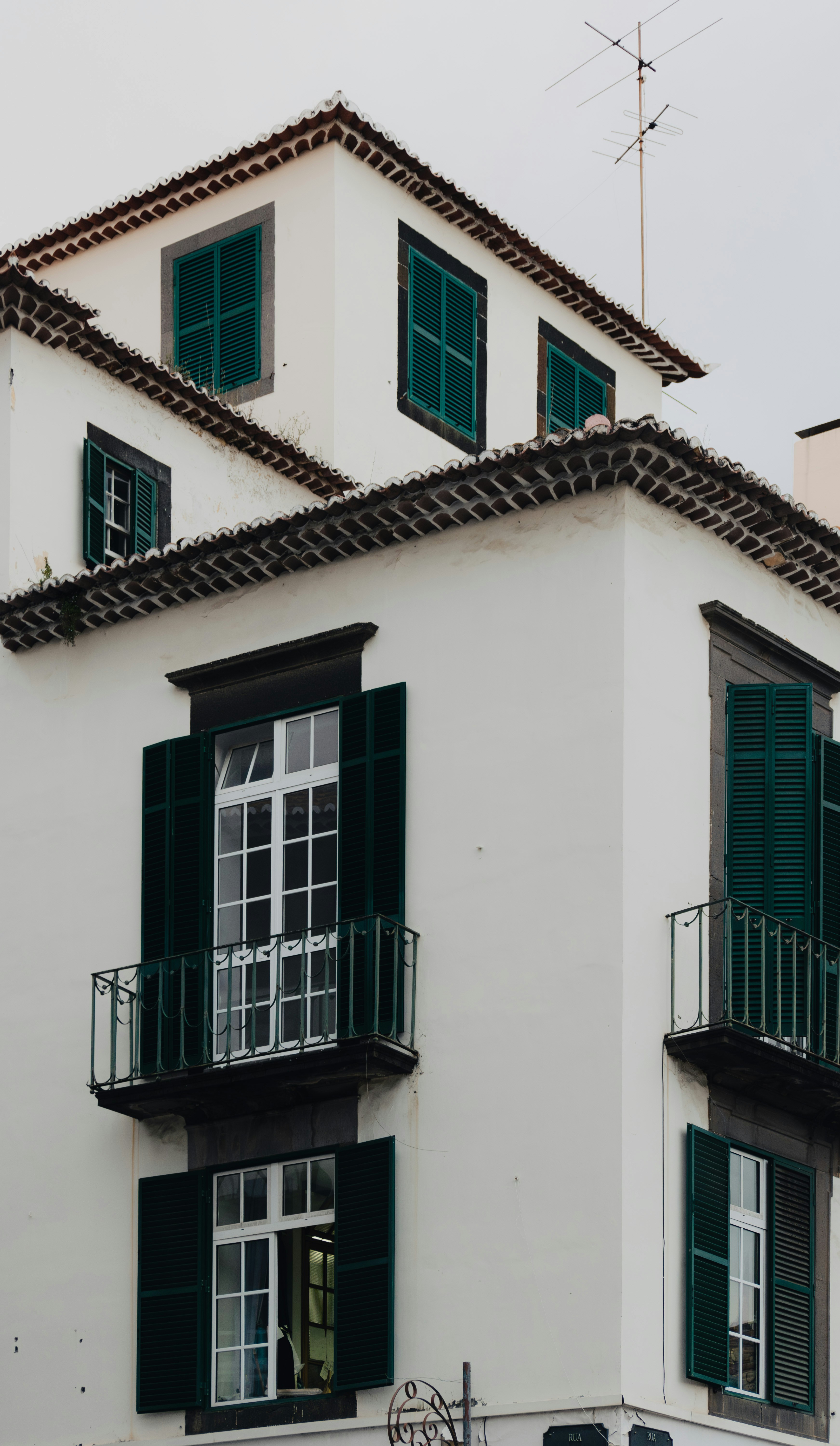 Photo by balazsgabor17