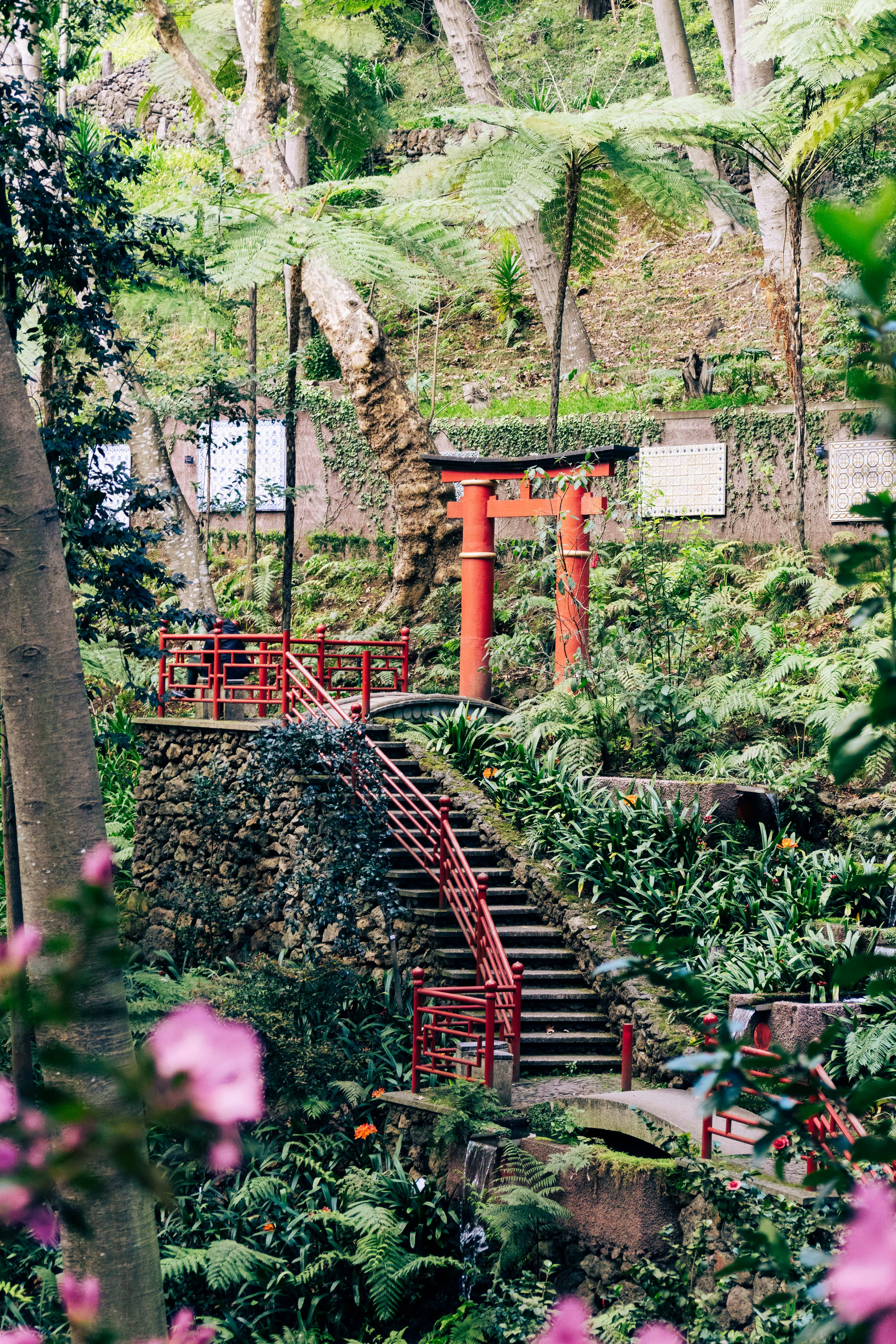 Photo by balazsgabor17