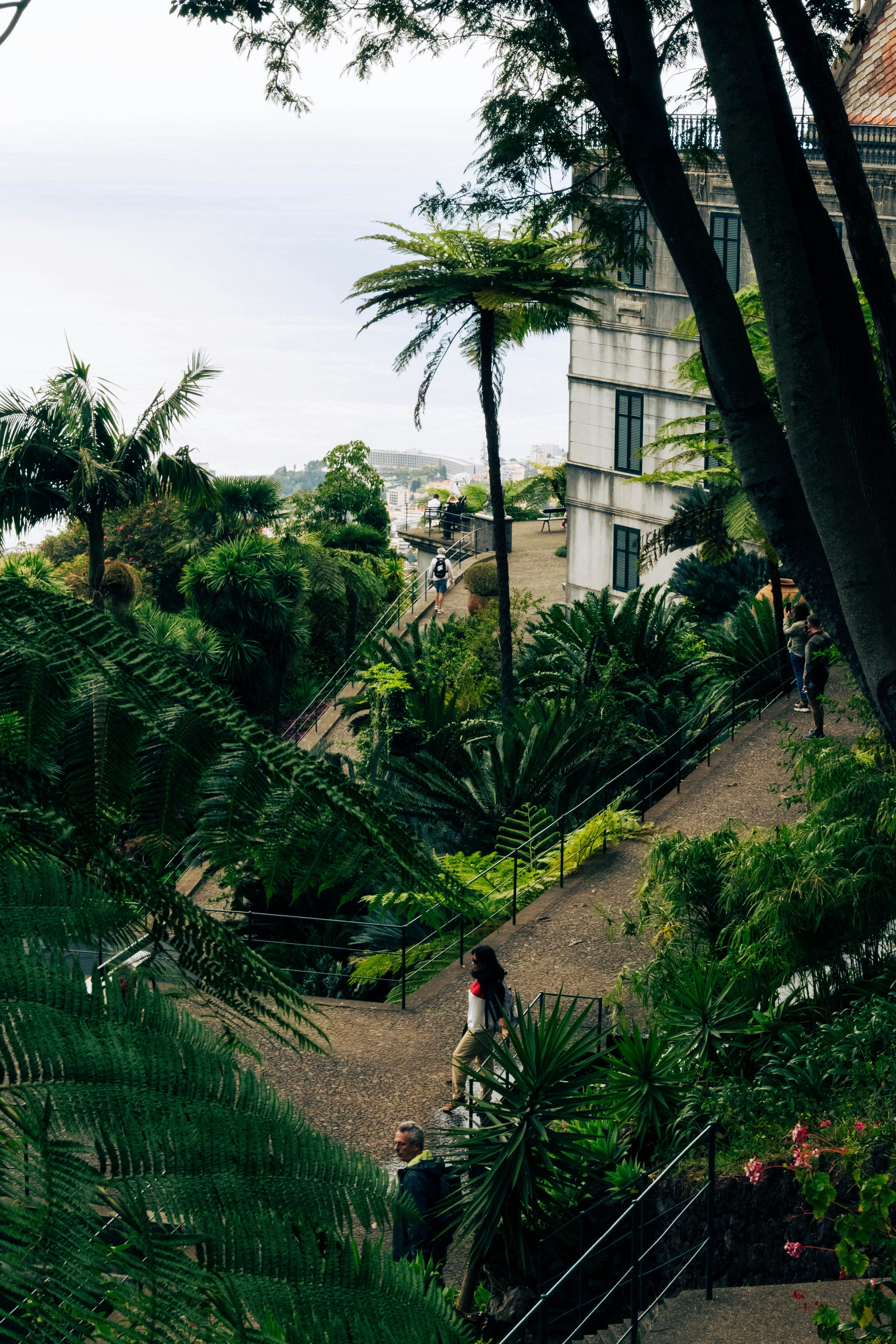 Photo by balazsgabor17