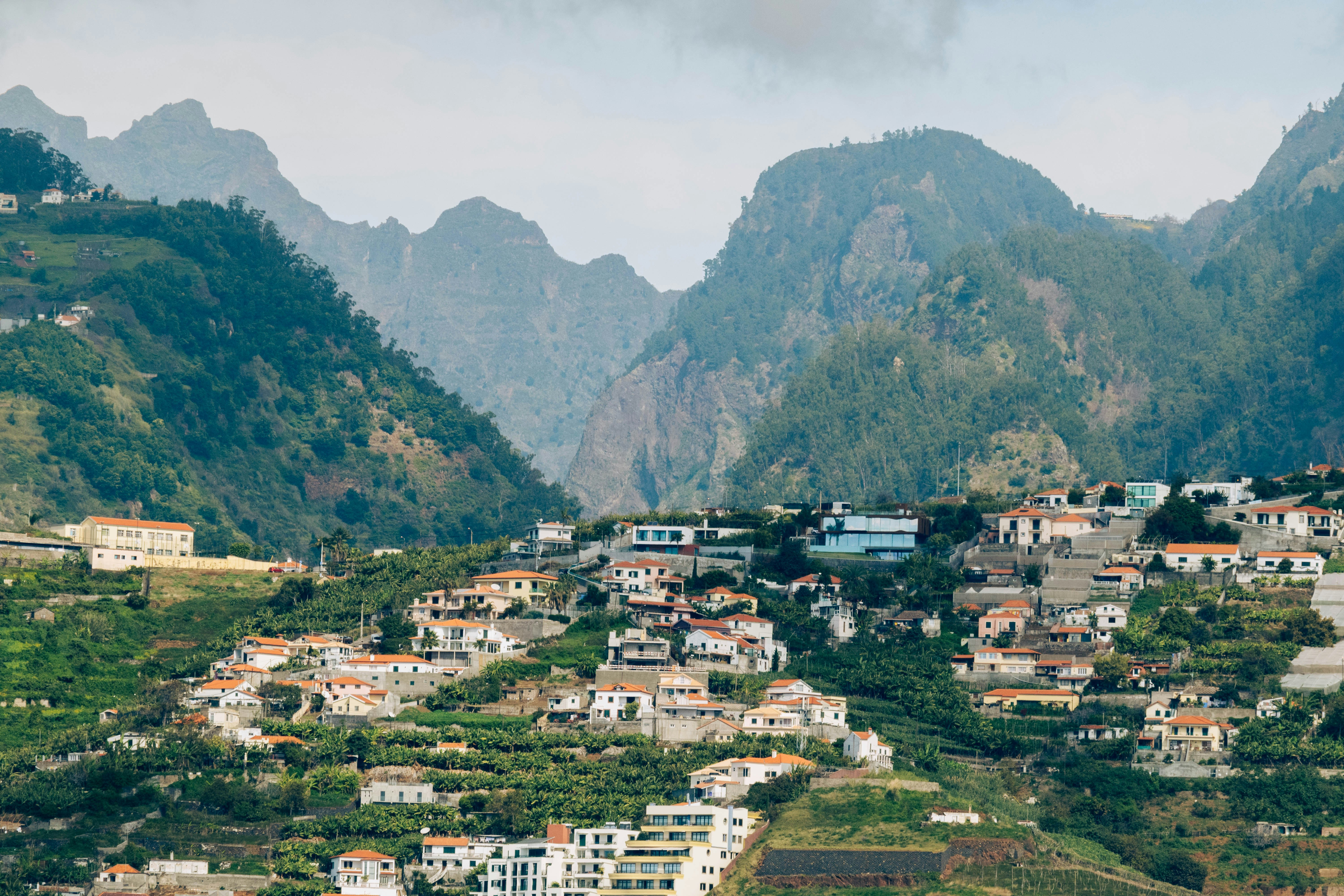 Photo by balazsgabor17