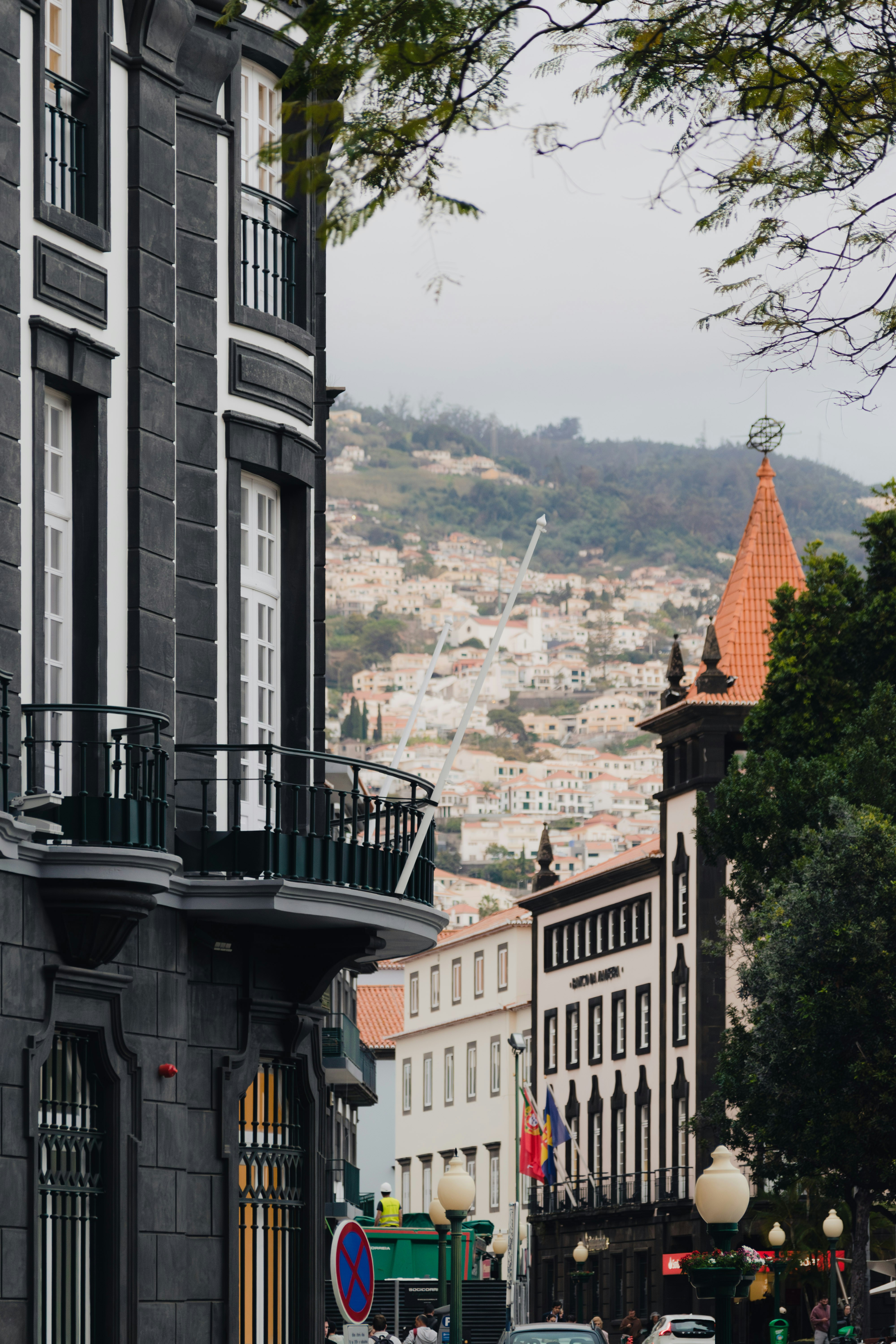 Photo by balazsgabor17