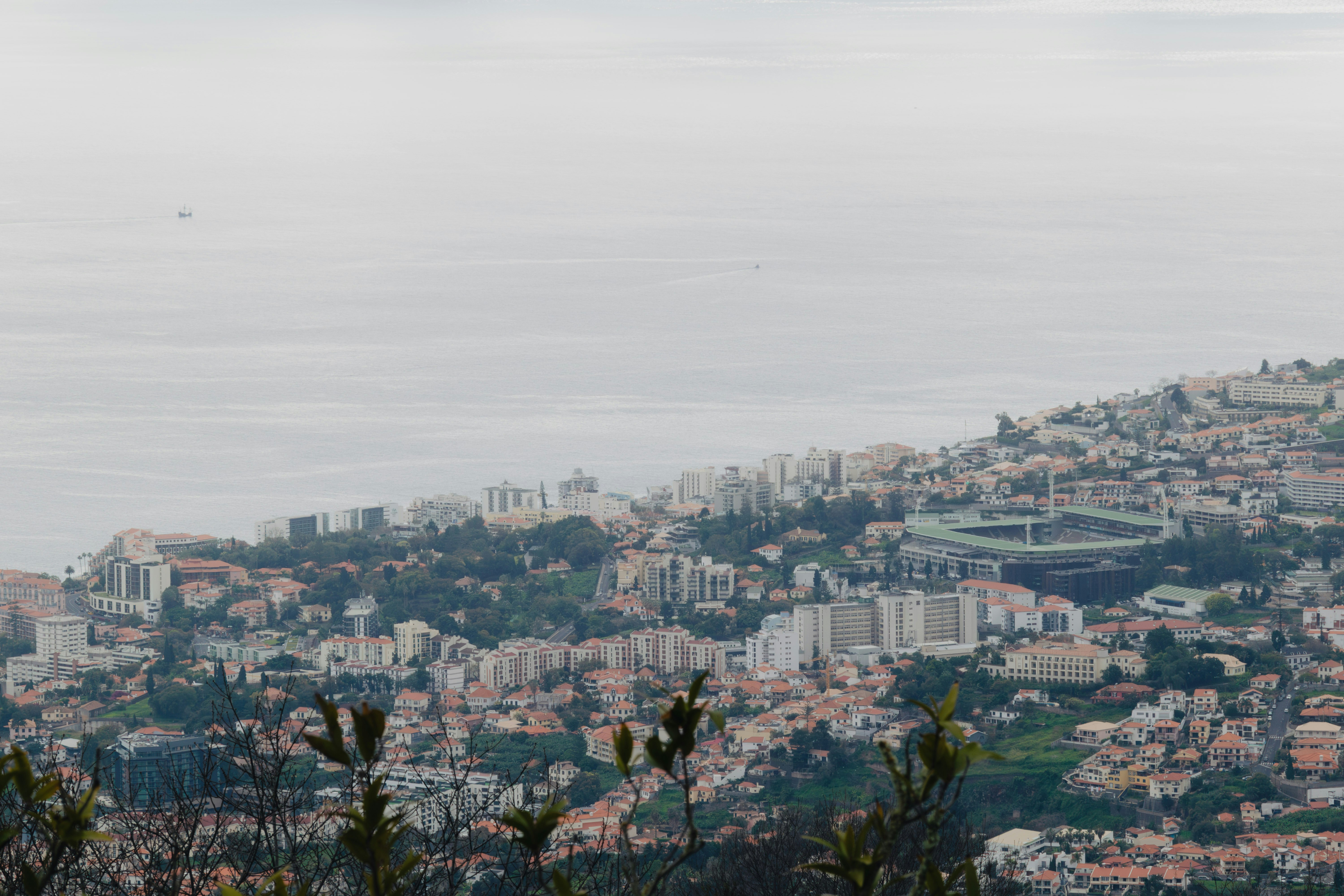 Photo by balazsgabor17