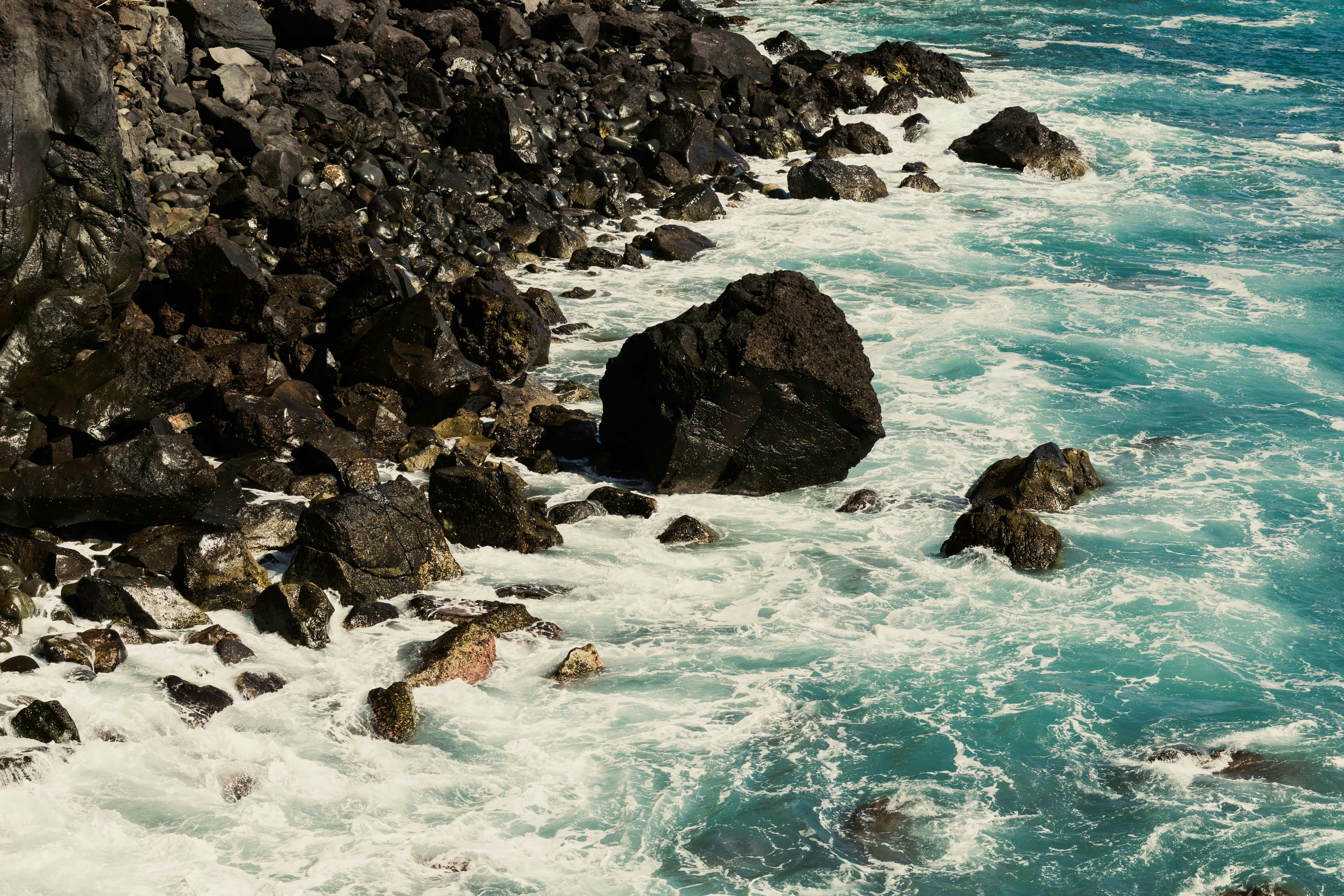 Photo by balazsgabor17