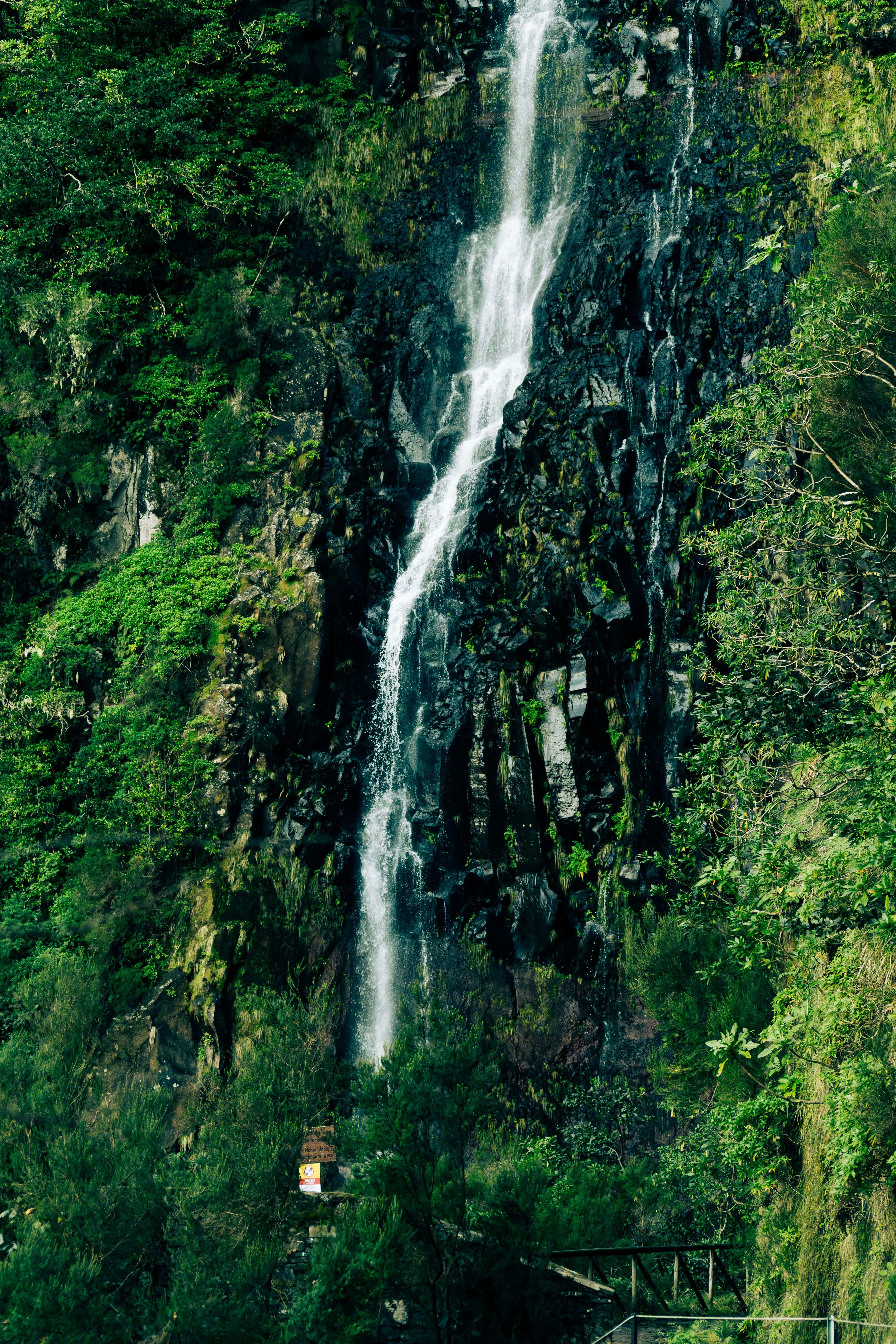 Photo by balazsgabor17