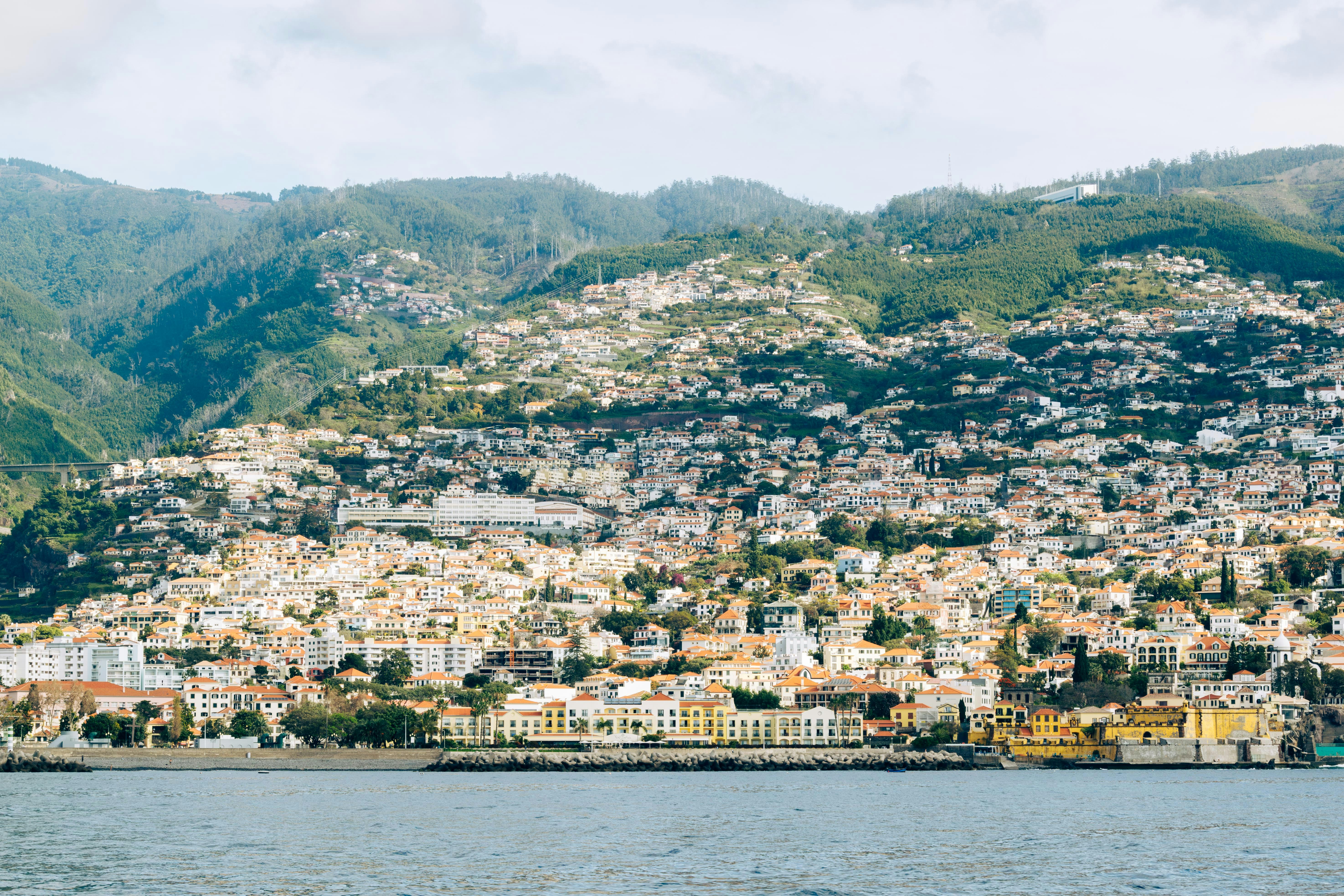 Photo by balazsgabor17