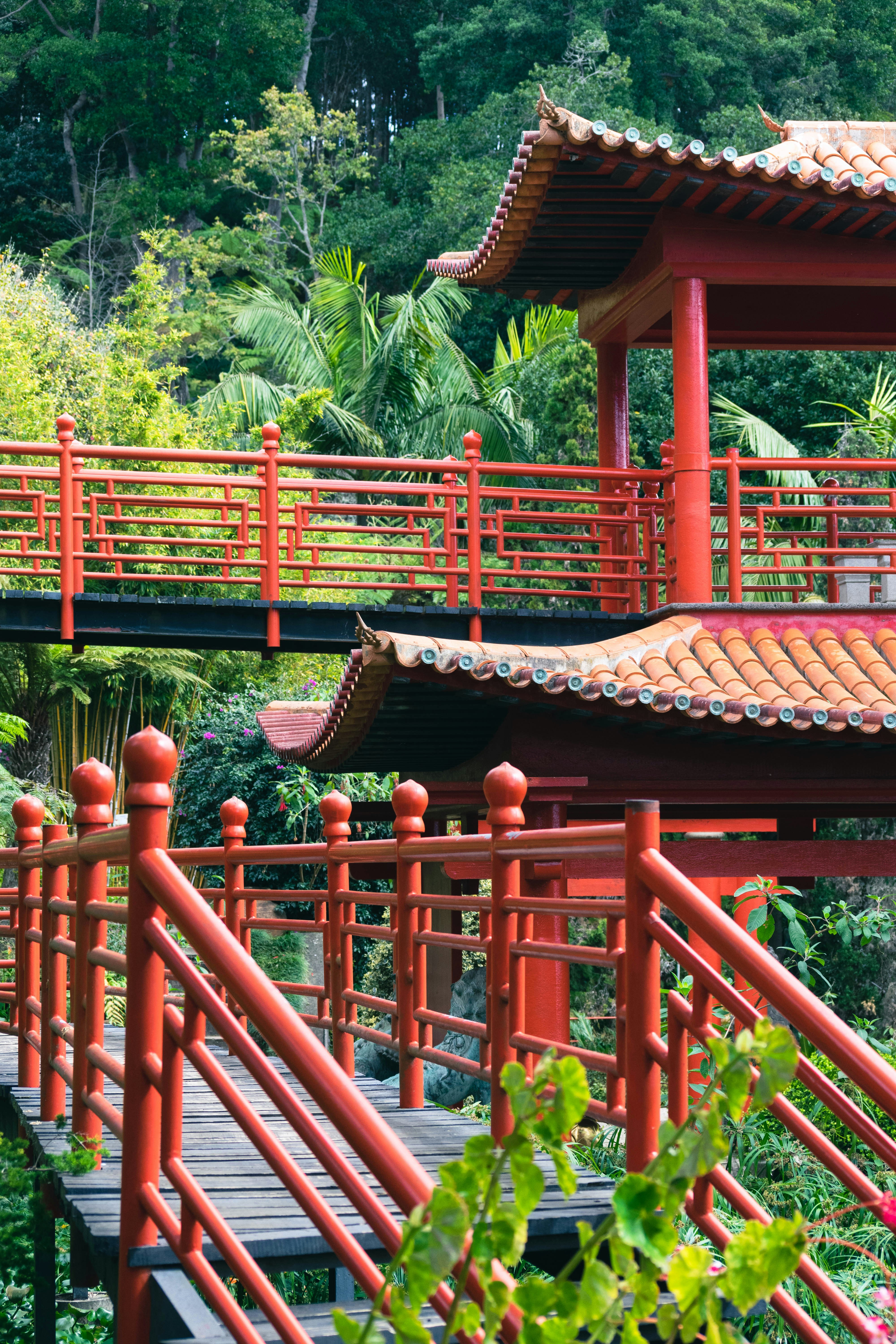 Photo by balazsgabor17