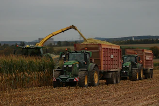 Tractors harvesting corn in a field