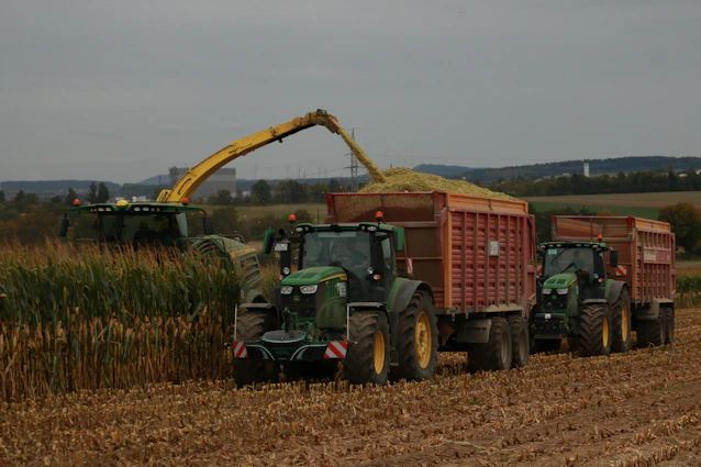 Tractors harvesting corn in a field