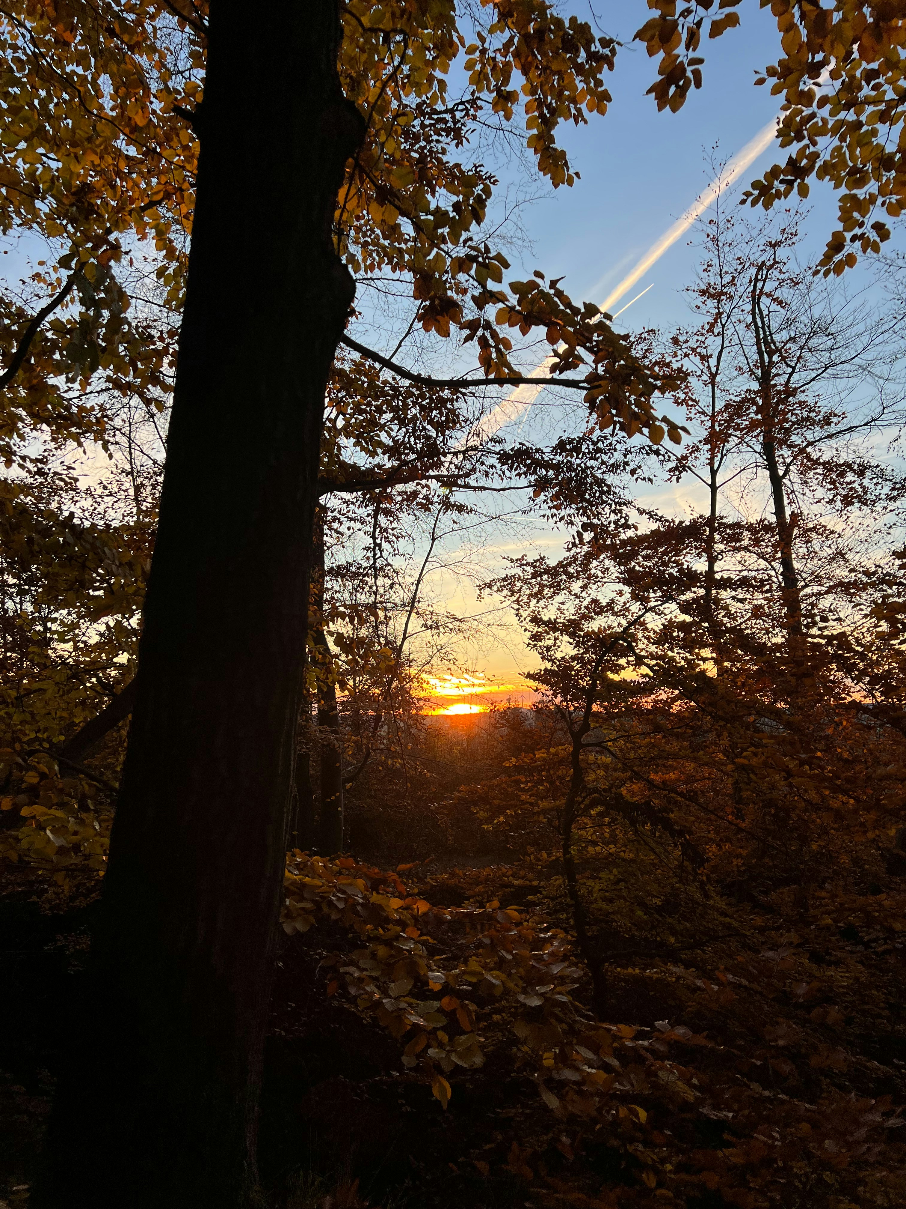 Photo by viktorfriesen