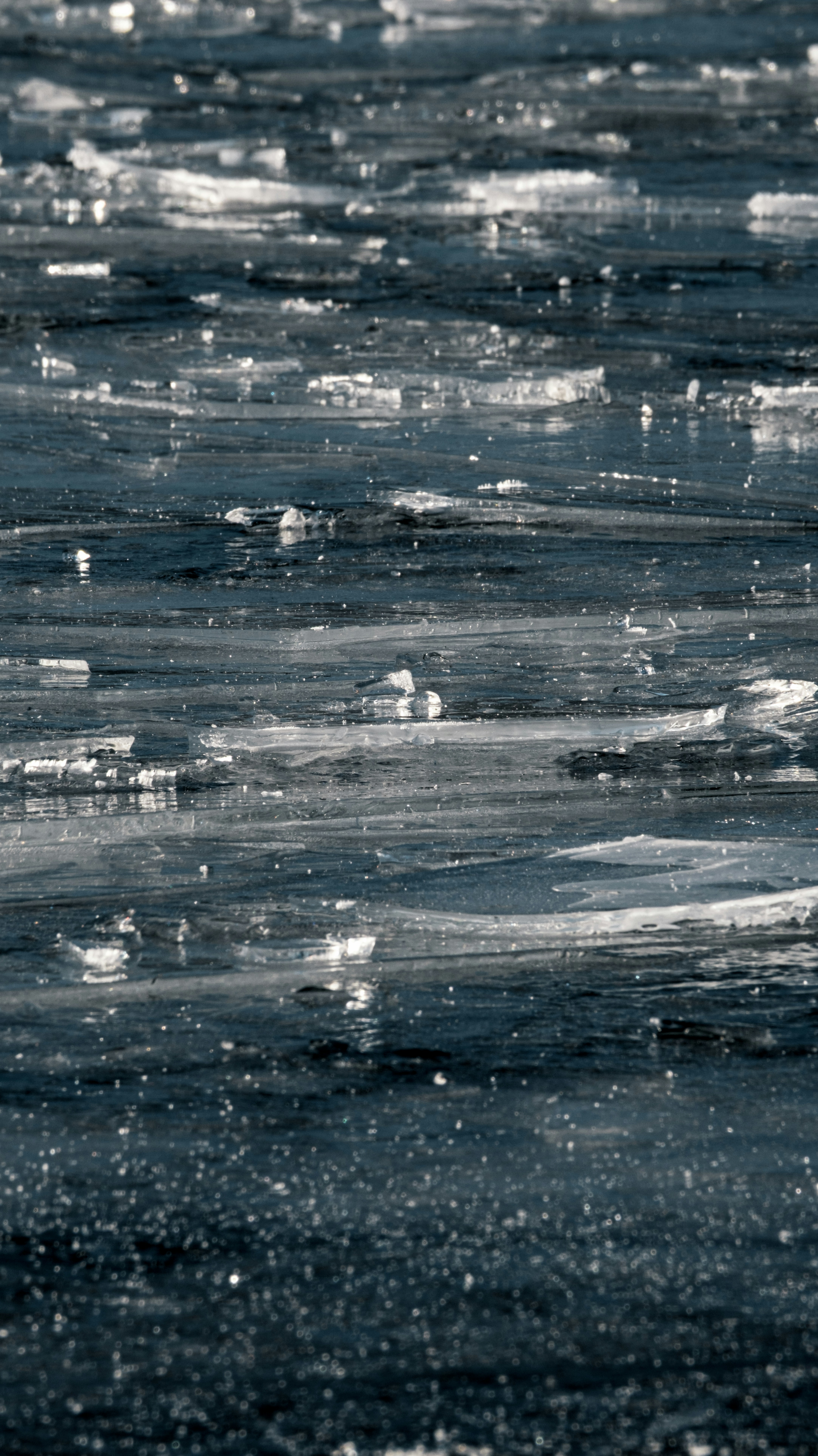 Floating ice chunks on dark water surface
