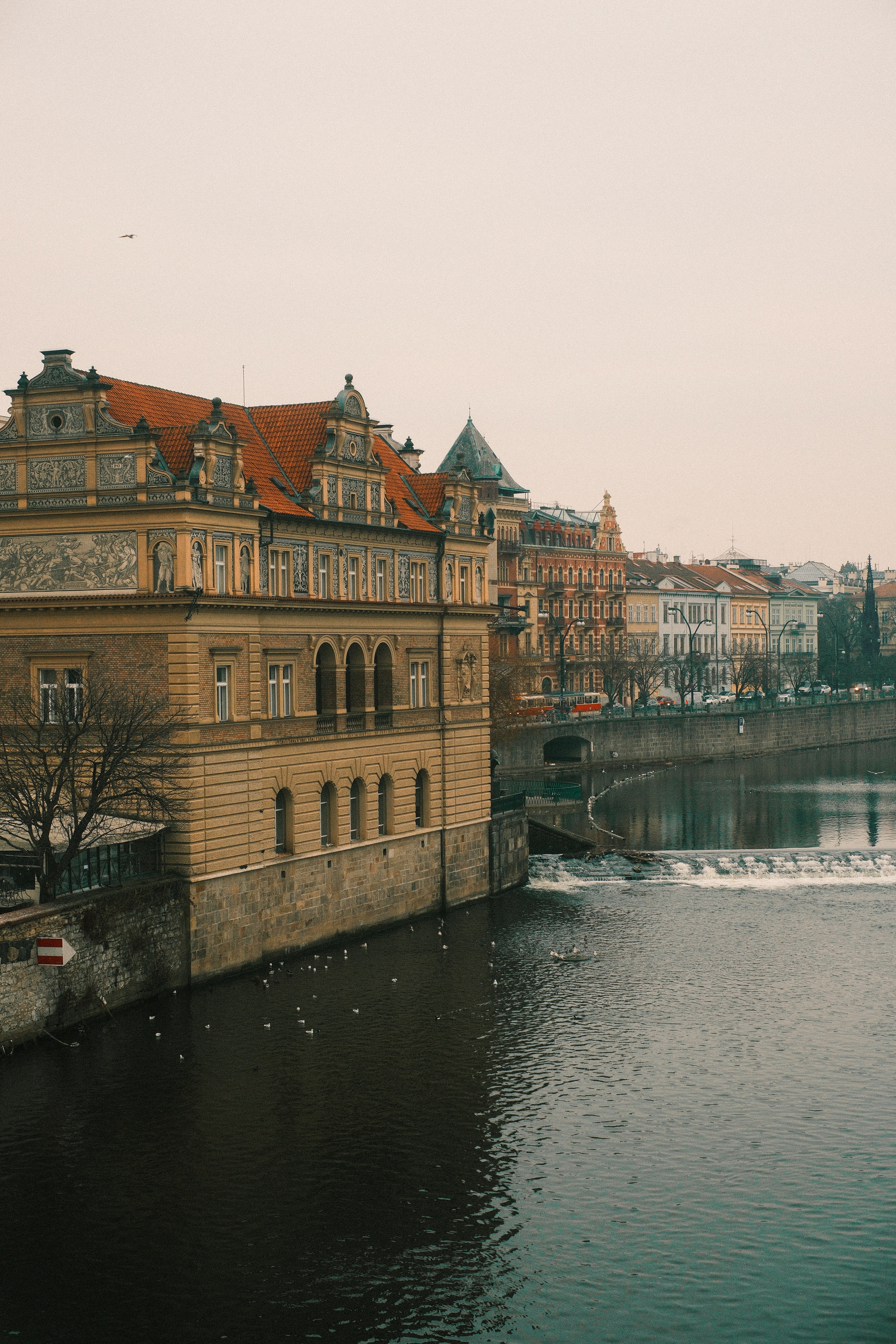 Photo by ginkgoshutter