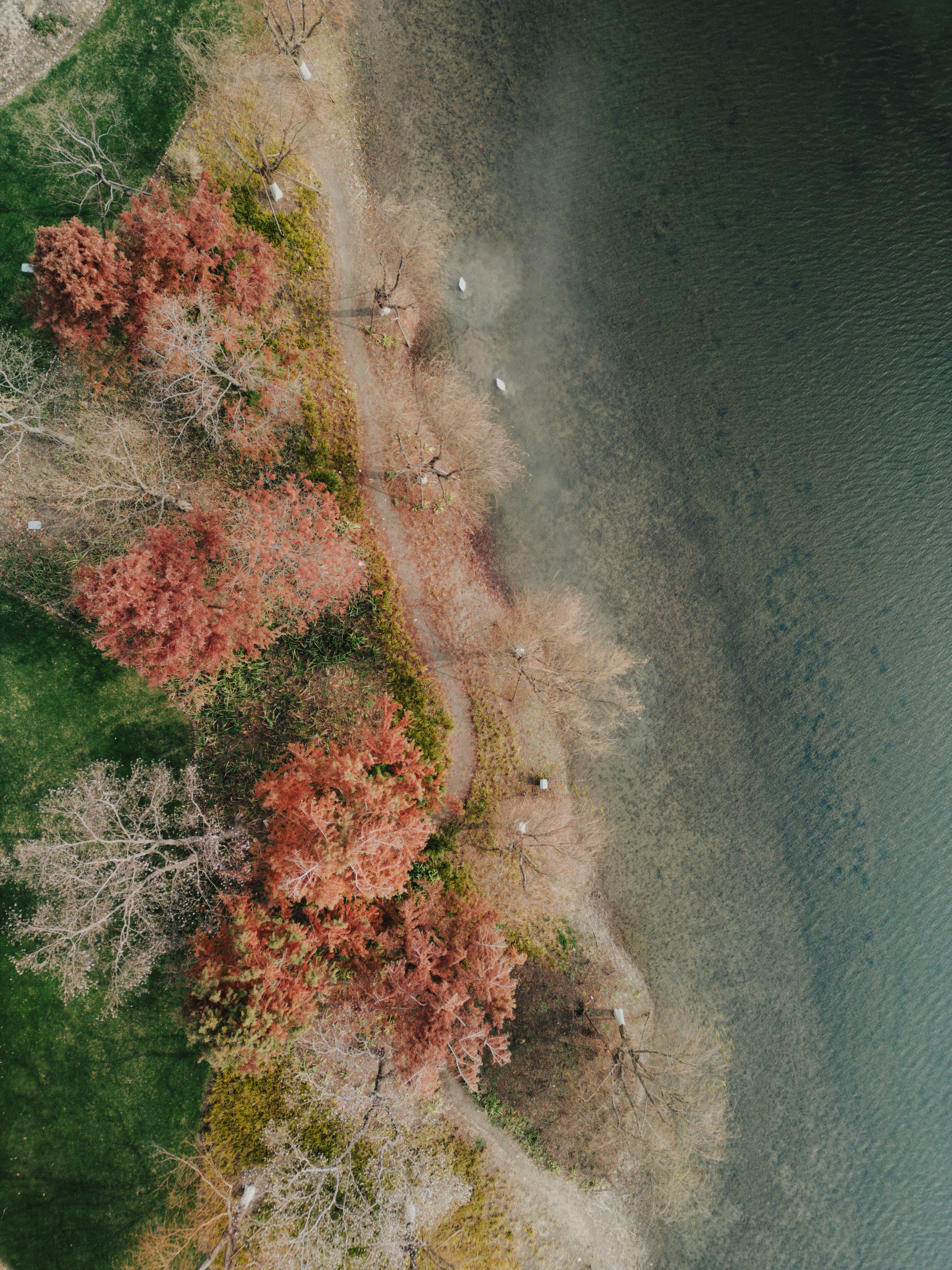 Photo by pandabeyond