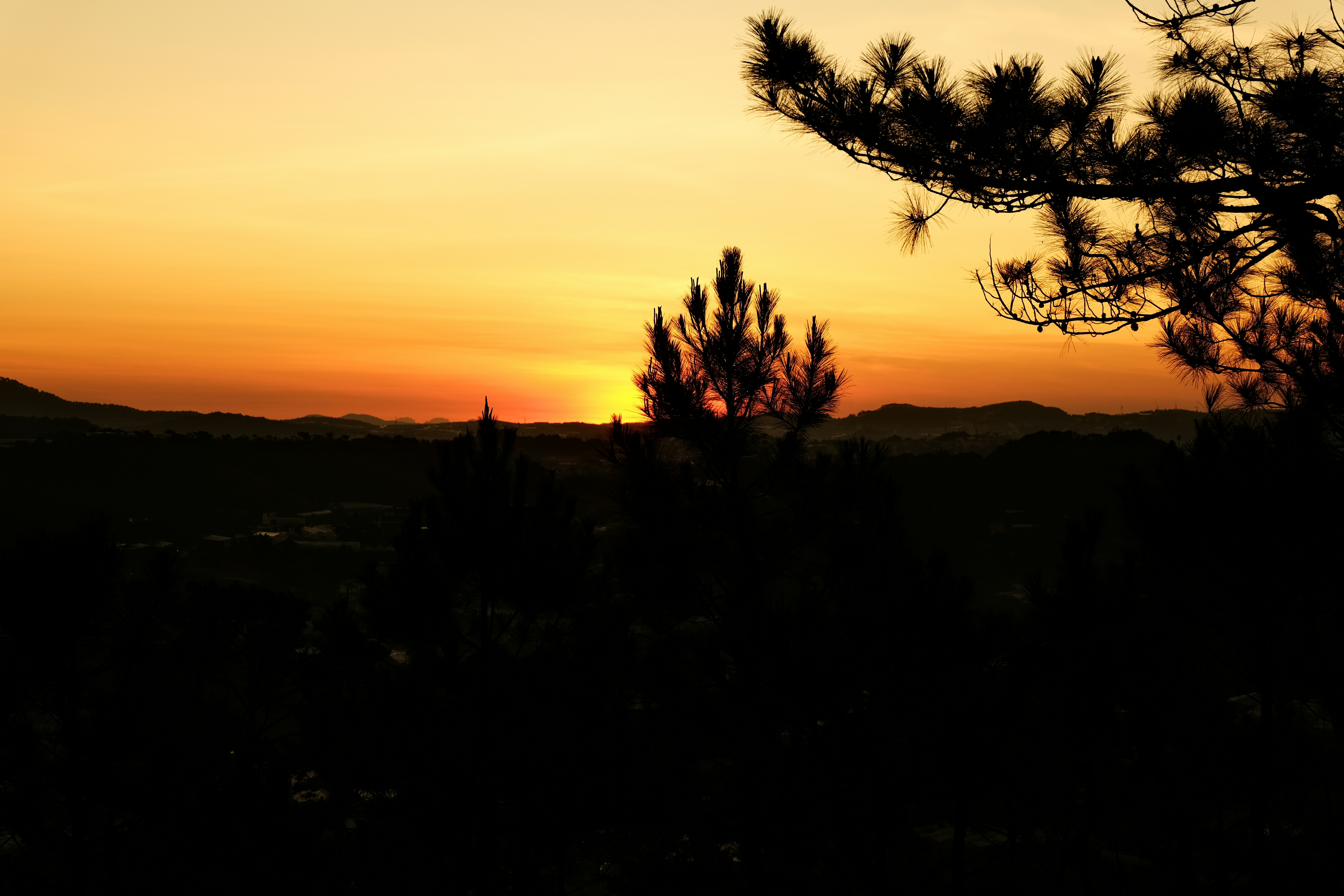 Photo by dvhoang2106