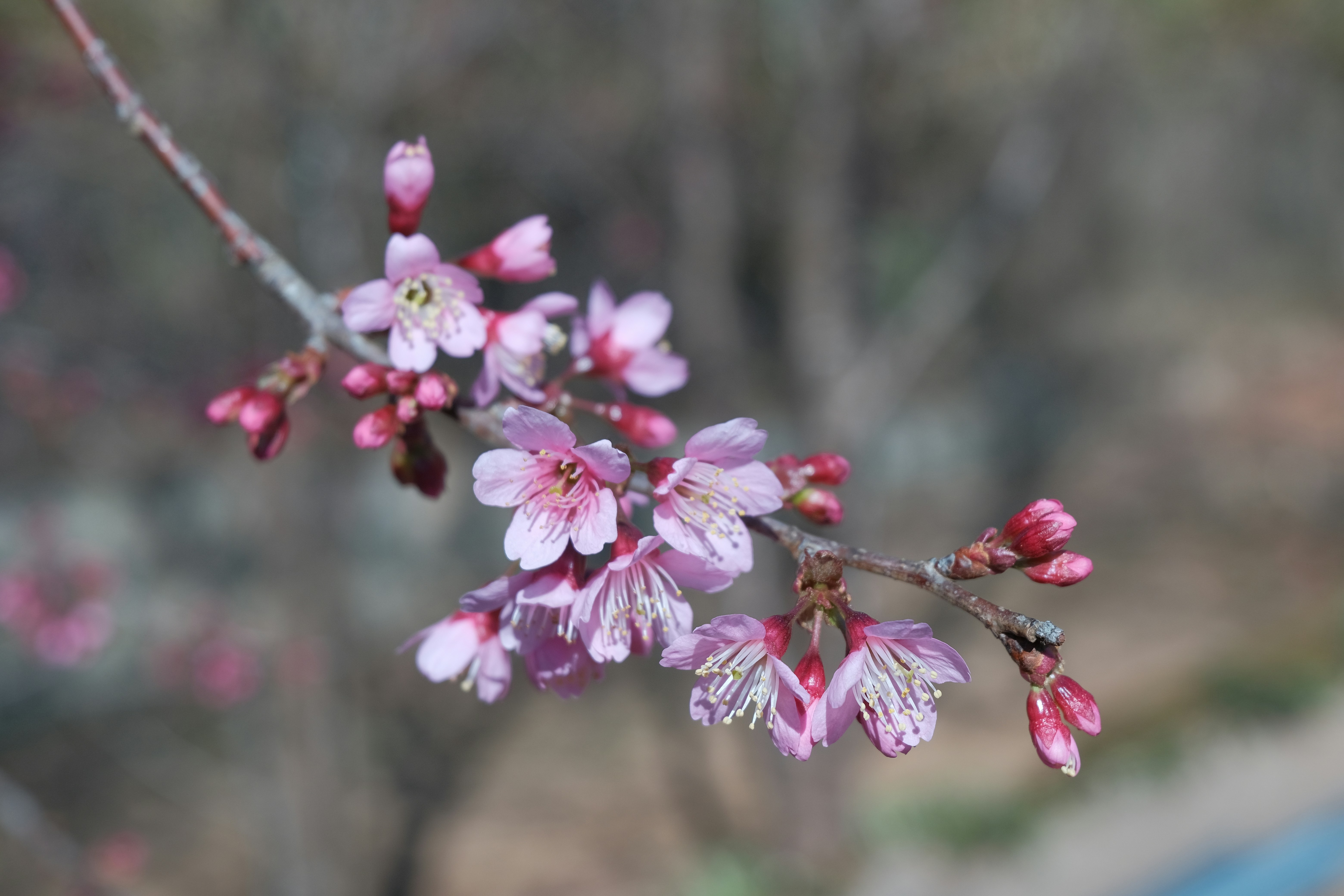 Photo by dvhoang2106