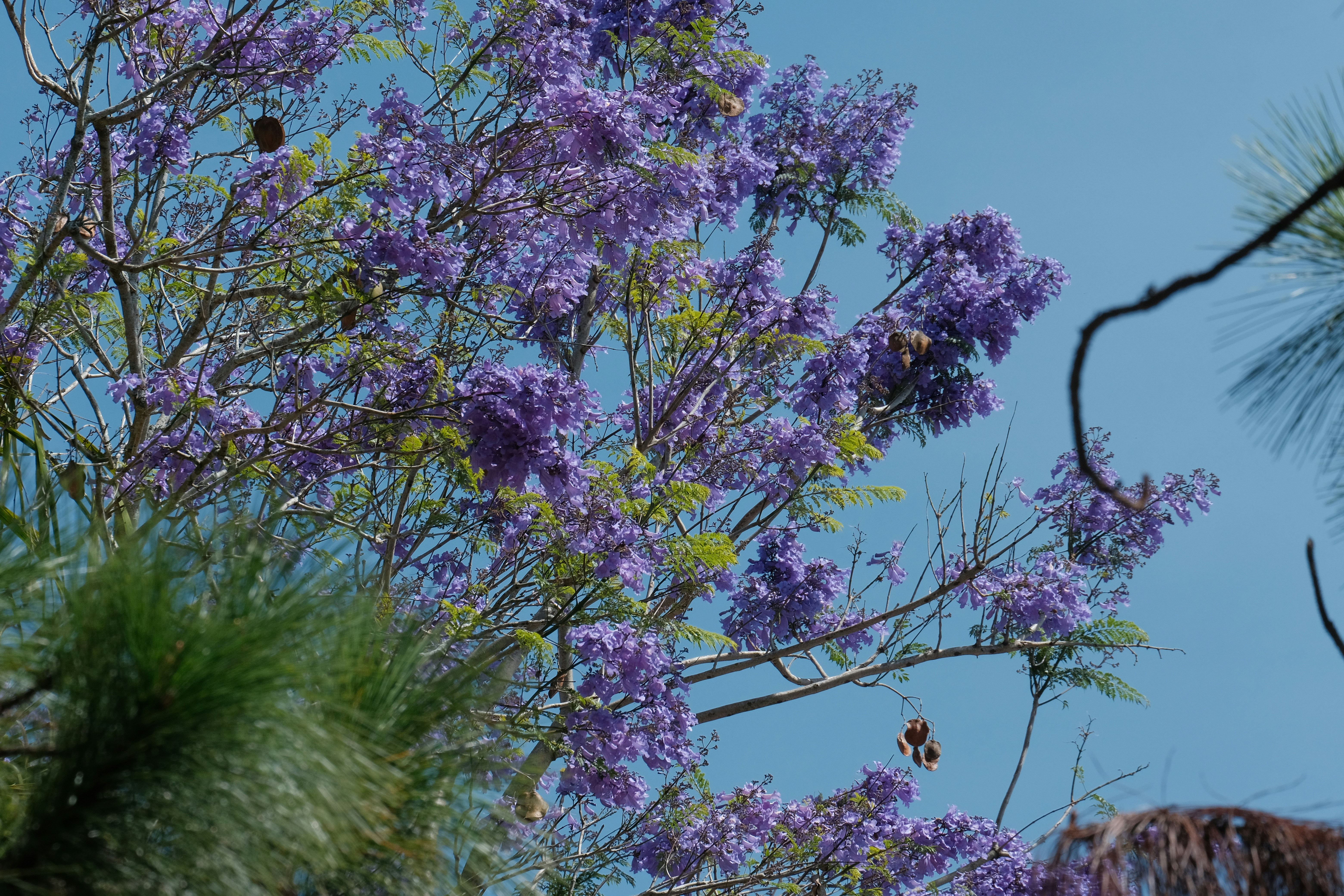 Photo by dvhoang2106