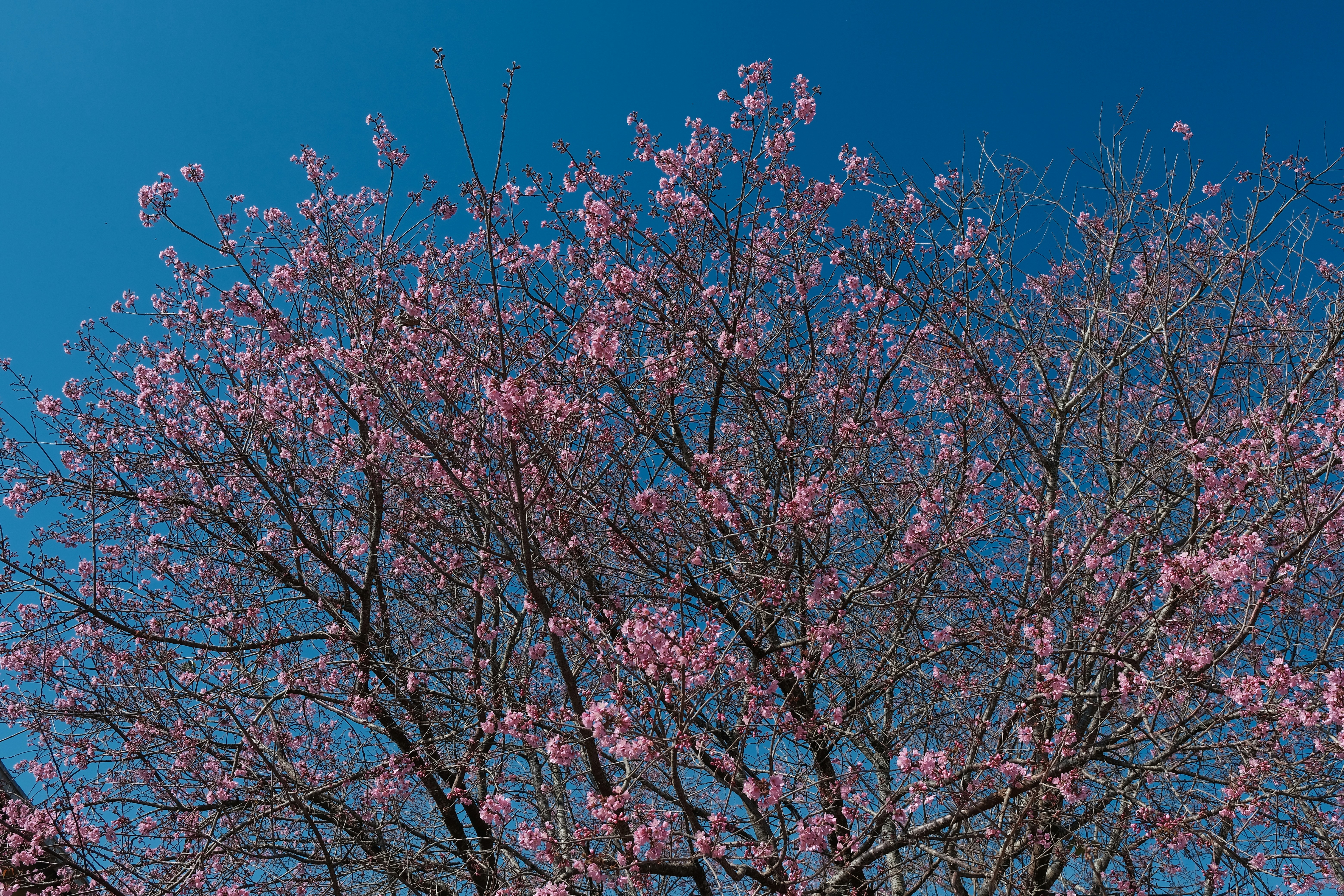 Photo by dvhoang2106