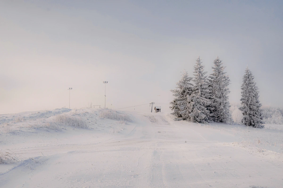 Frost-covered evergreen trees on a snowy mountain slope under a pale sky